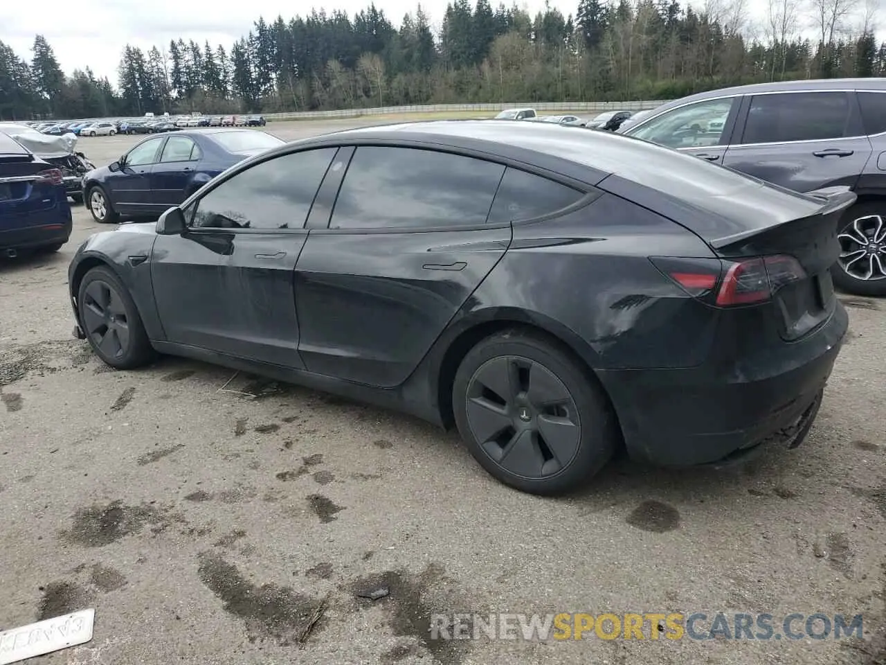 2 Photograph of a damaged car 5YJ3E1EA3PF644898 TESLA MODEL 3 2023
