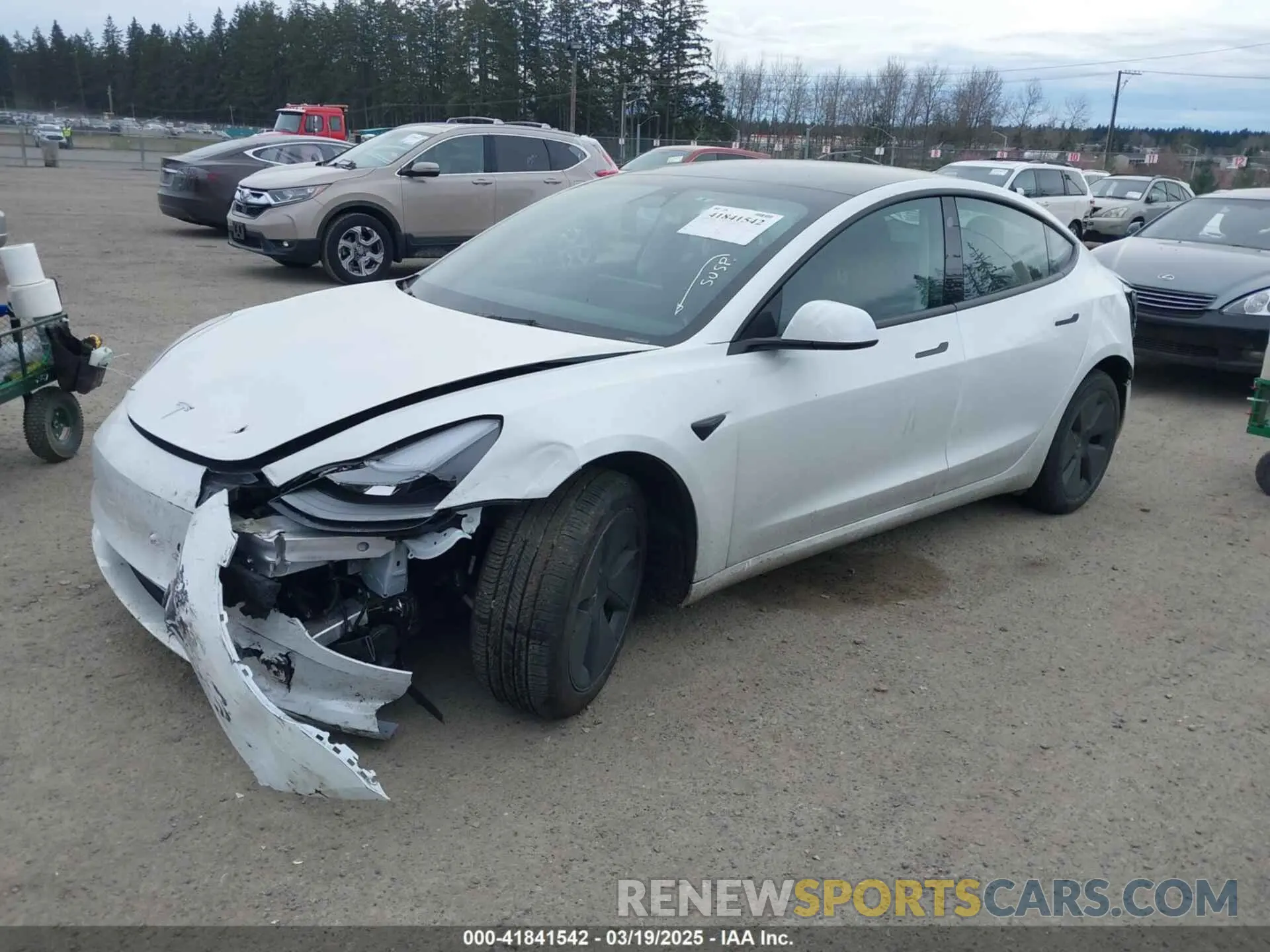 2 Photograph of a damaged car 5YJ3E1EA3PF672815 TESLA MODEL 3 2023