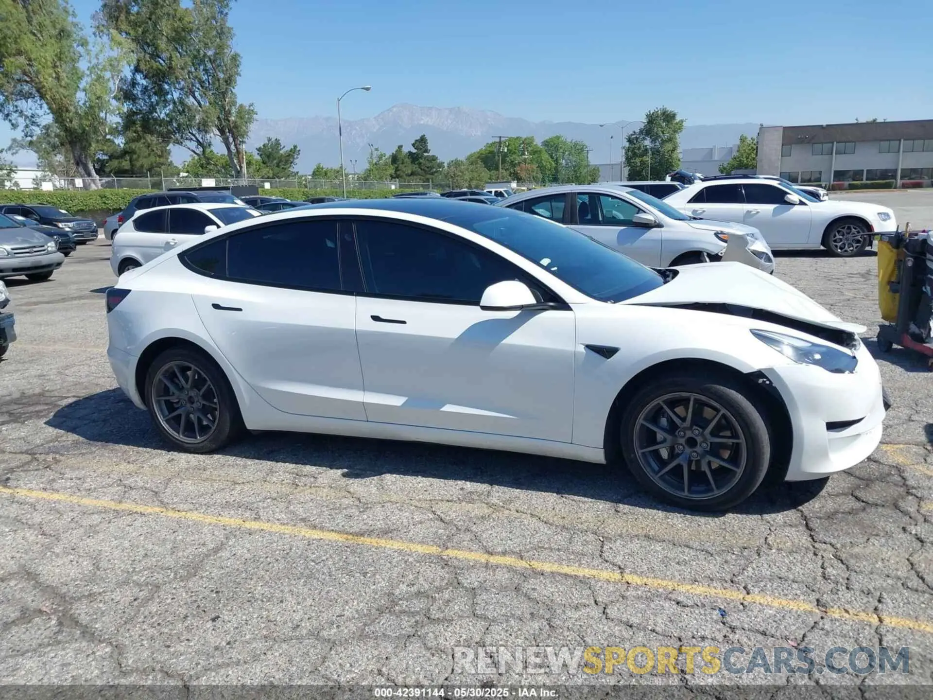 13 Photograph of a damaged car 5YJ3E1EA4PF453359 TESLA MODEL 3 2023