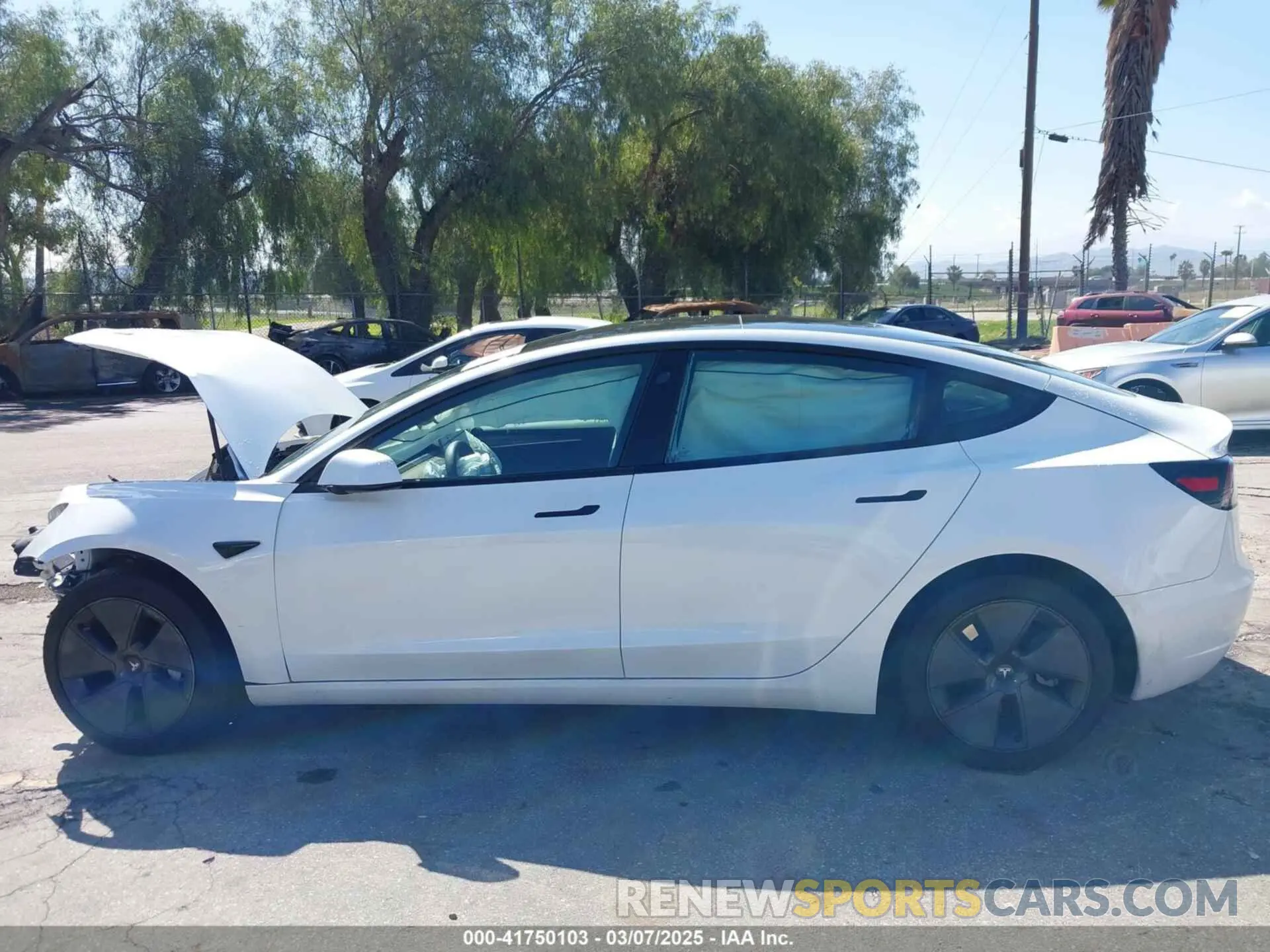 14 Photograph of a damaged car 5YJ3E1EA4PF462627 TESLA MODEL 3 2023