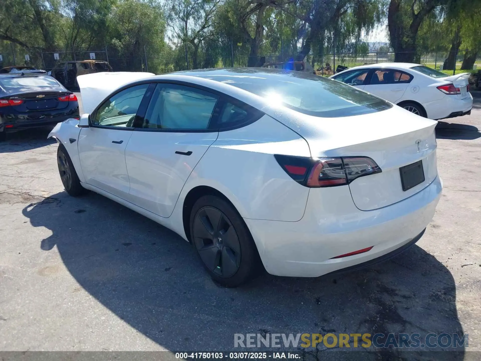 3 Photograph of a damaged car 5YJ3E1EA4PF462627 TESLA MODEL 3 2023