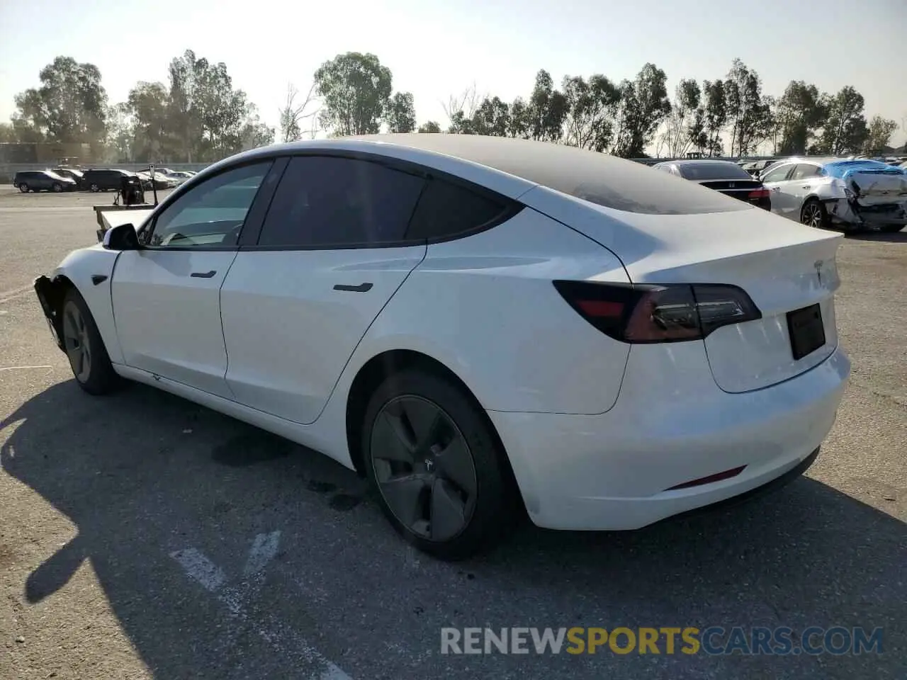 2 Photograph of a damaged car 5YJ3E1EA4PF545894 TESLA MODEL 3 2023
