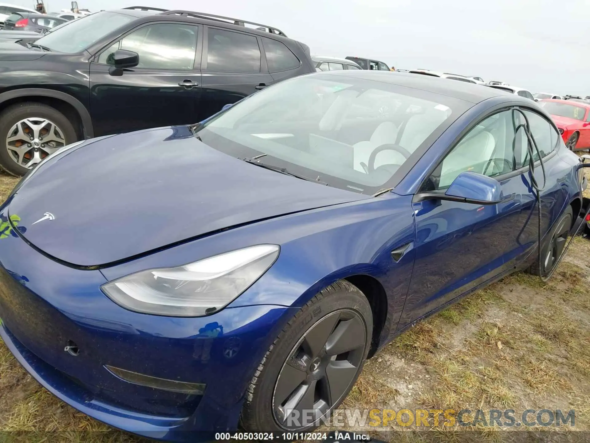 2 Photograph of a damaged car 5YJ3E1EA4PF553459 TESLA MODEL 3 2023