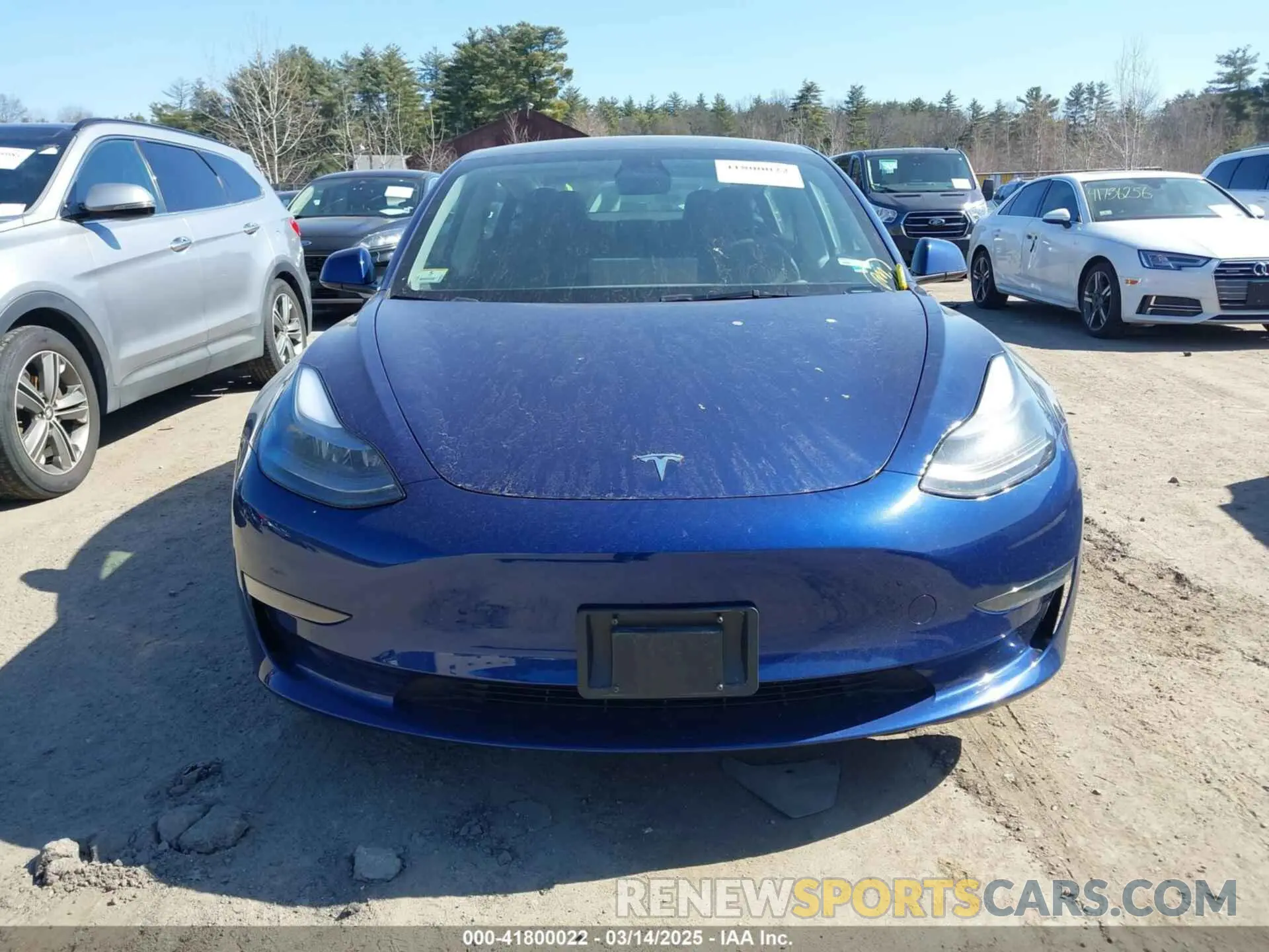 12 Photograph of a damaged car 5YJ3E1EA4PF554837 TESLA MODEL 3 2023