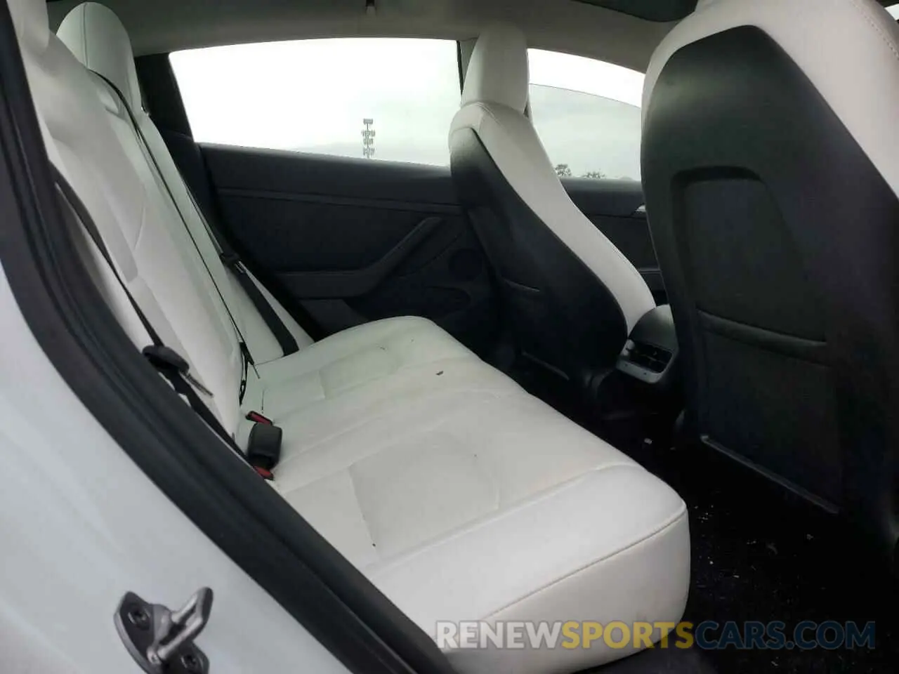 10 Photograph of a damaged car 5YJ3E1EA4PF569399 TESLA MODEL 3 2023