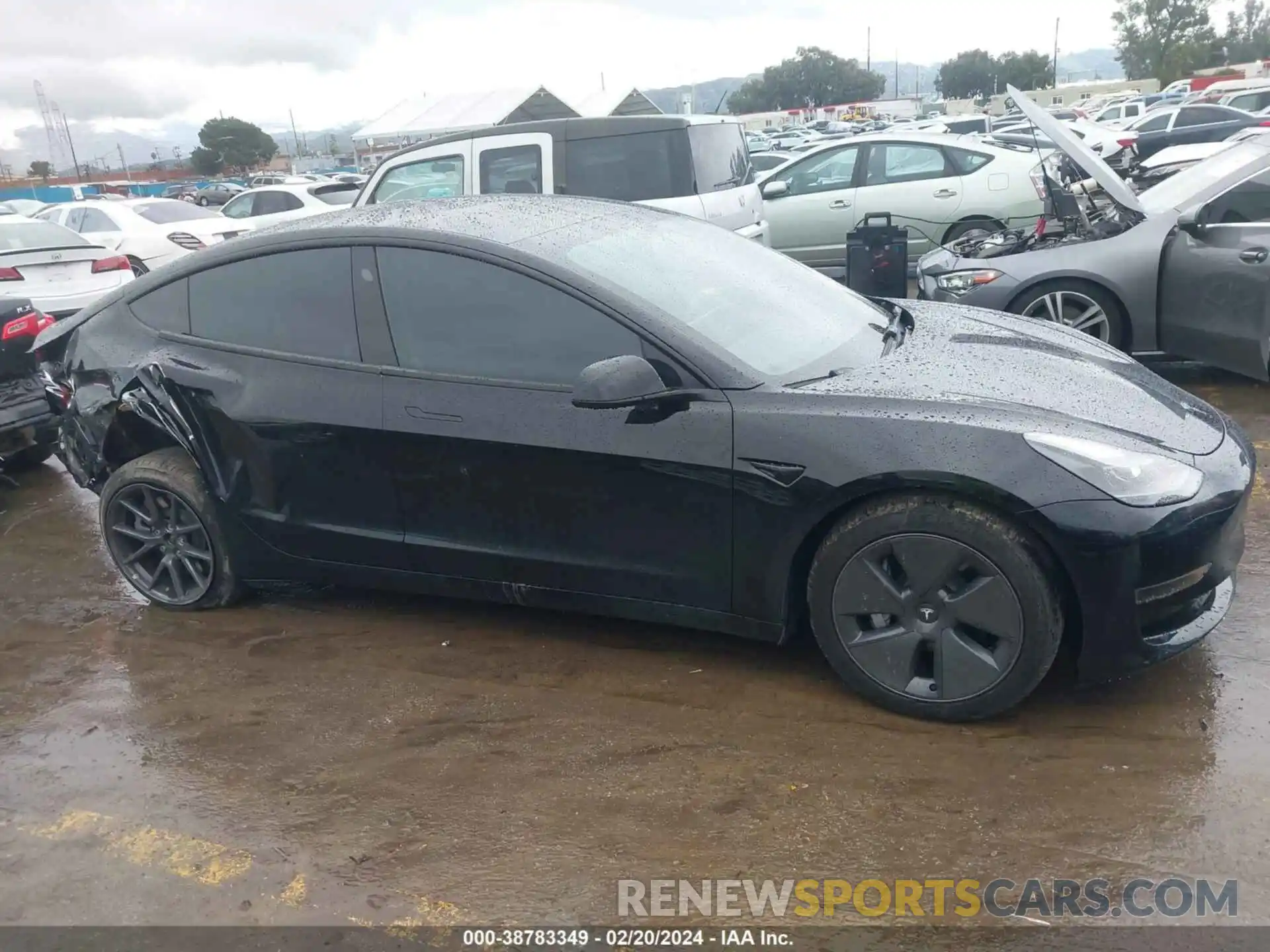 1 Photograph of a damaged car 5YJ3E1EA5PF465665 TESLA MODEL 3 2023