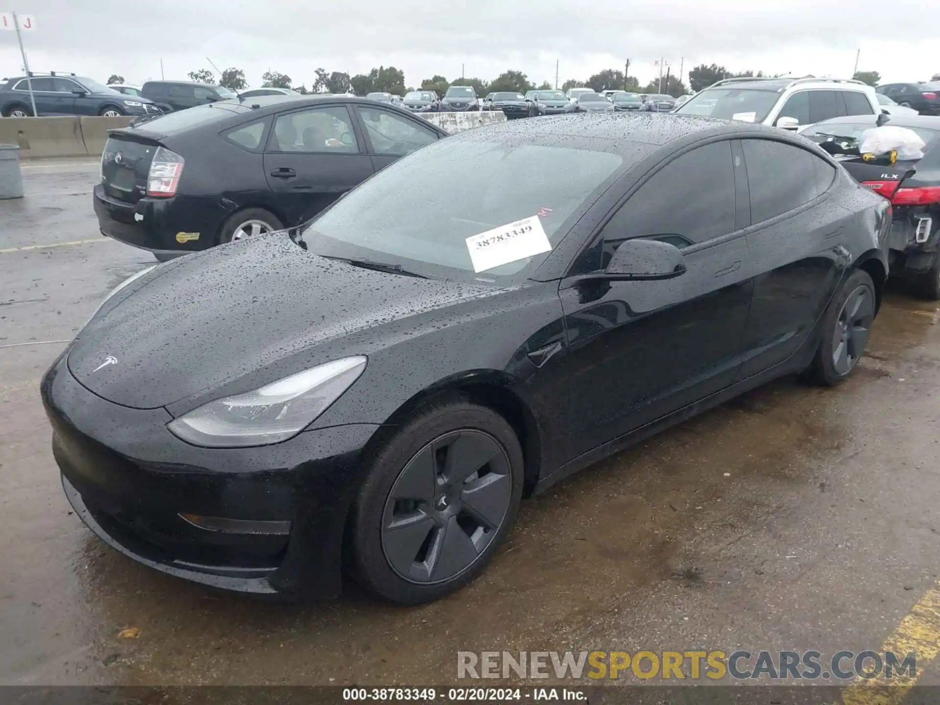 2 Photograph of a damaged car 5YJ3E1EA5PF465665 TESLA MODEL 3 2023