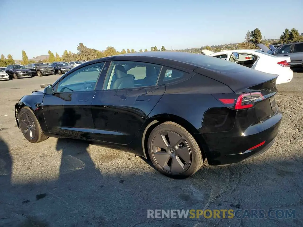 2 Photograph of a damaged car 5YJ3E1EA5PF487049 TESLA MODEL 3 2023