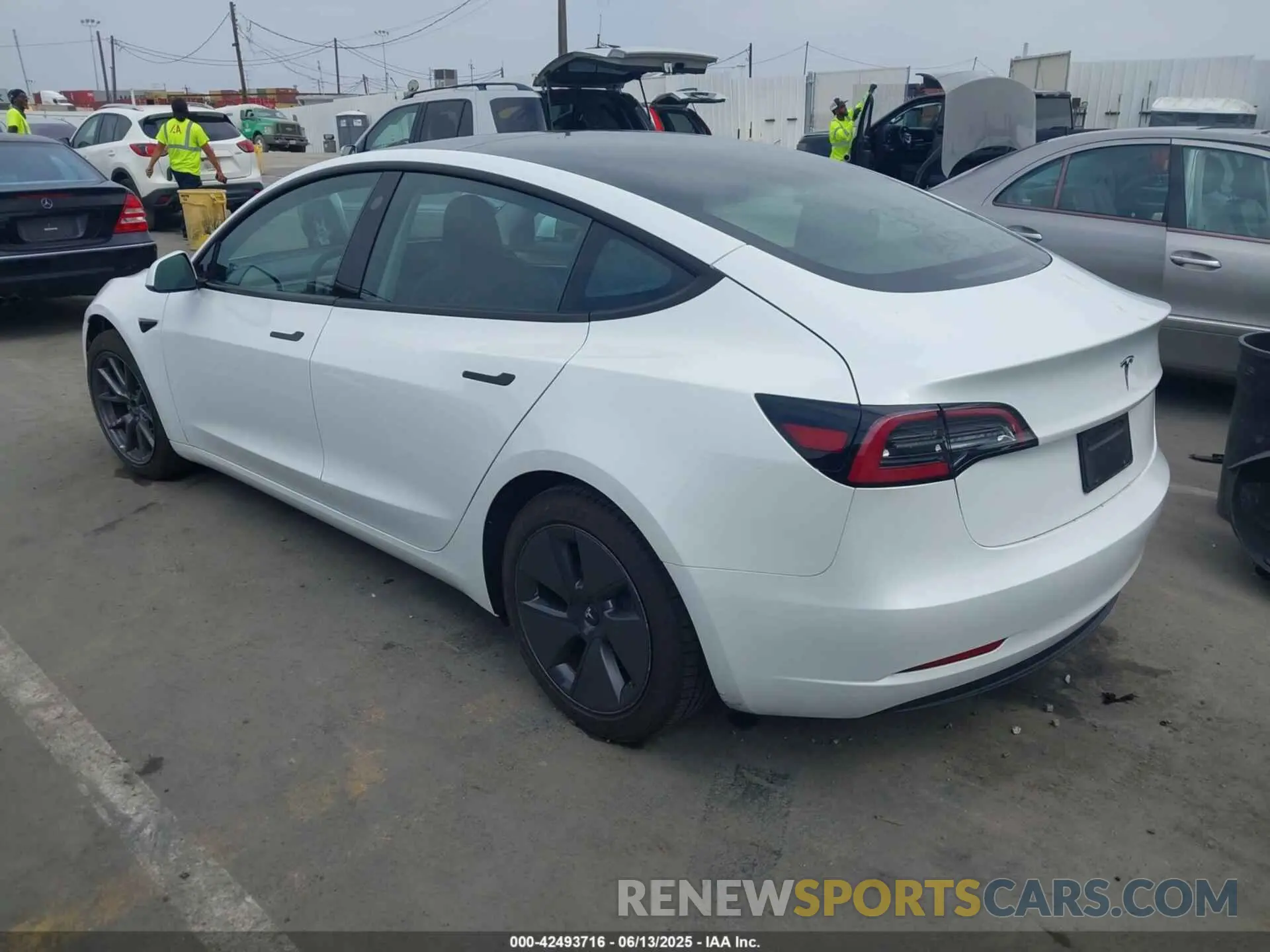 3 Photograph of a damaged car 5YJ3E1EA5PF496902 TESLA MODEL 3 2023