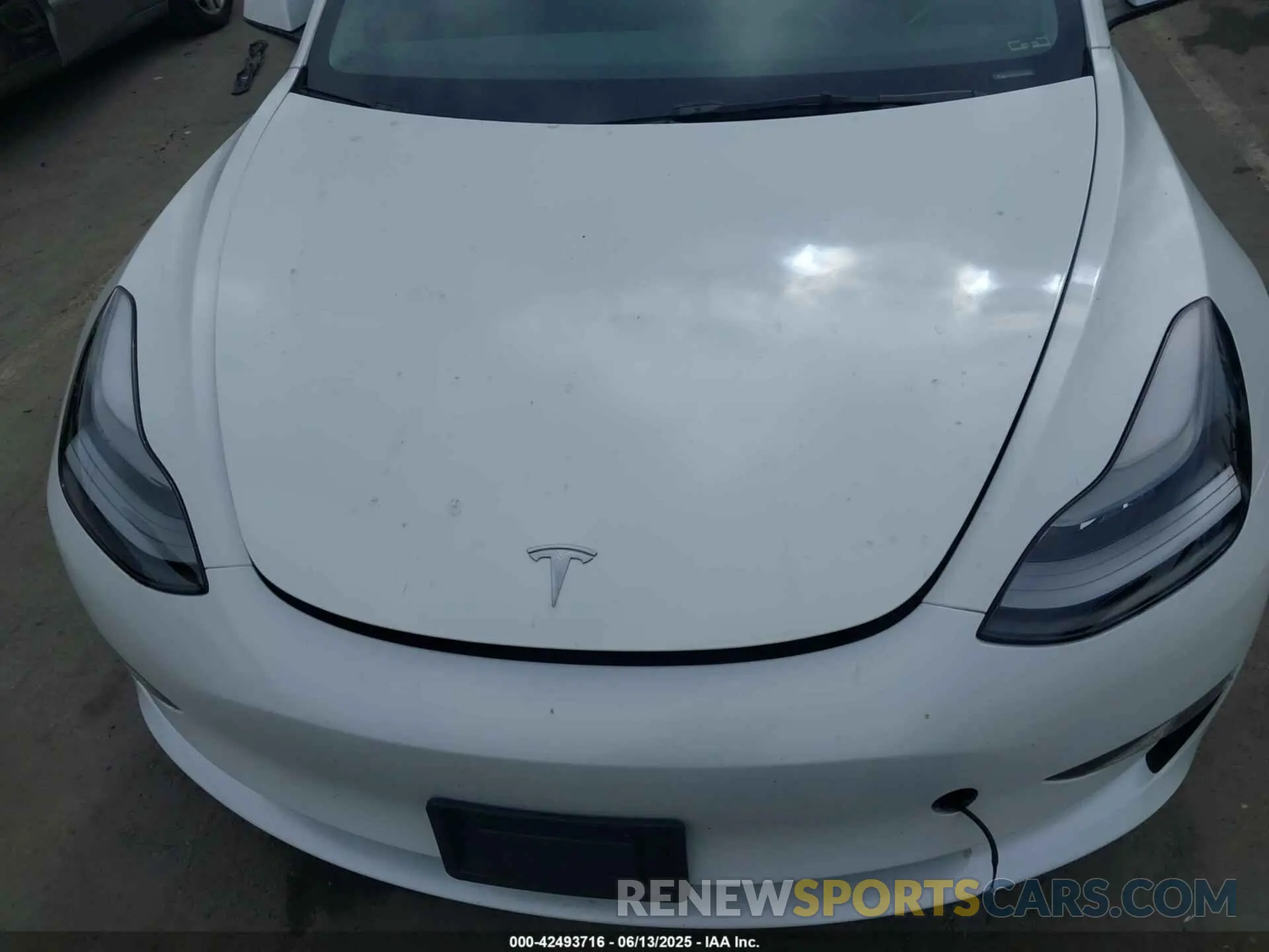 6 Photograph of a damaged car 5YJ3E1EA5PF496902 TESLA MODEL 3 2023