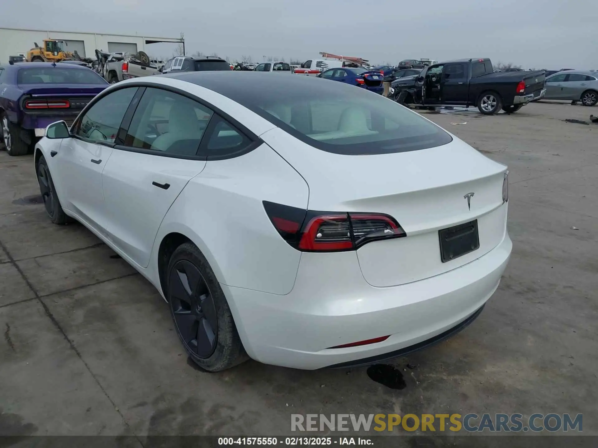 3 Photograph of a damaged car 5YJ3E1EA5PF550926 TESLA MODEL 3 2023