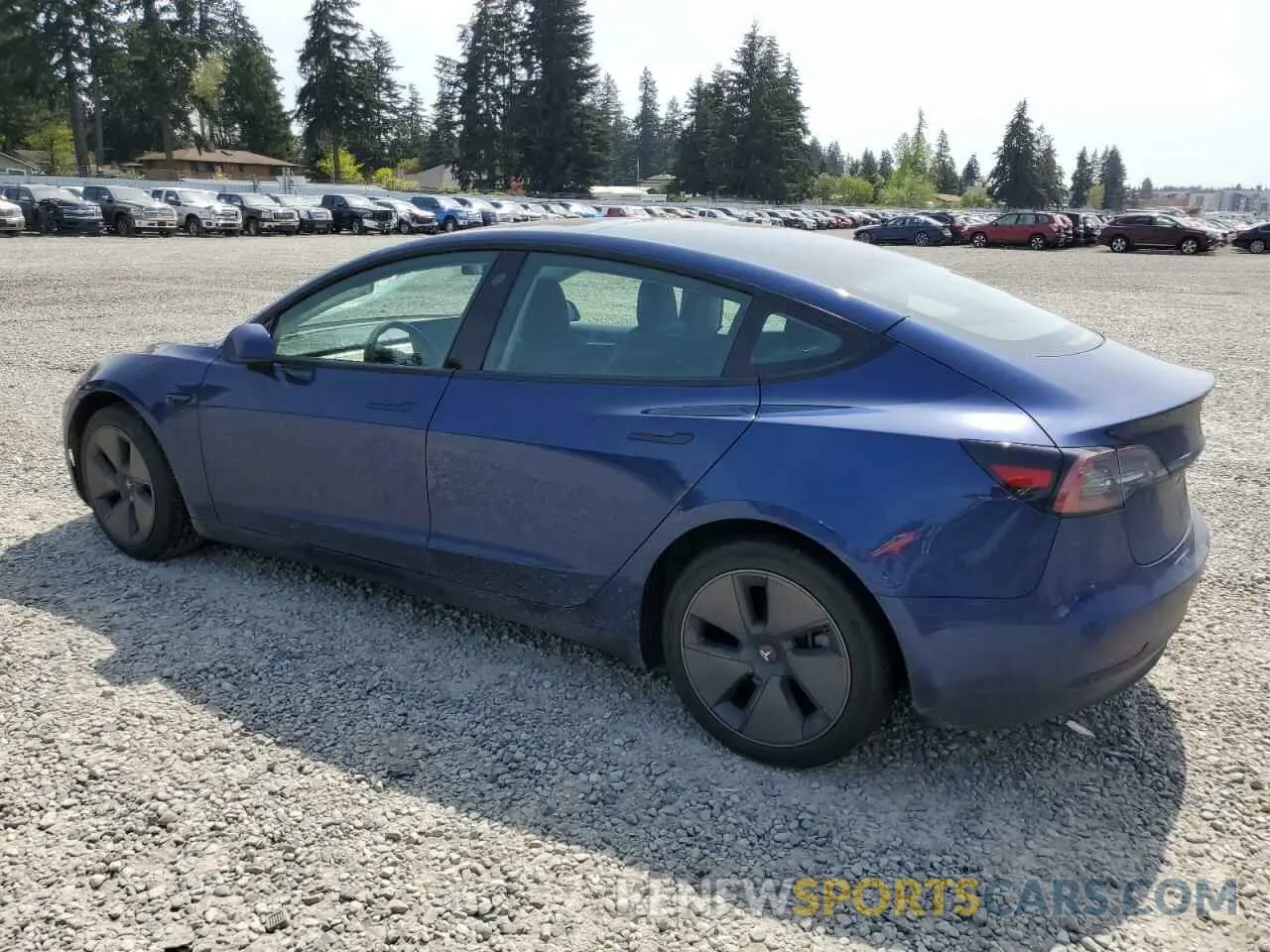 2 Photograph of a damaged car 5YJ3E1EA5PF578838 TESLA MODEL 3 2023