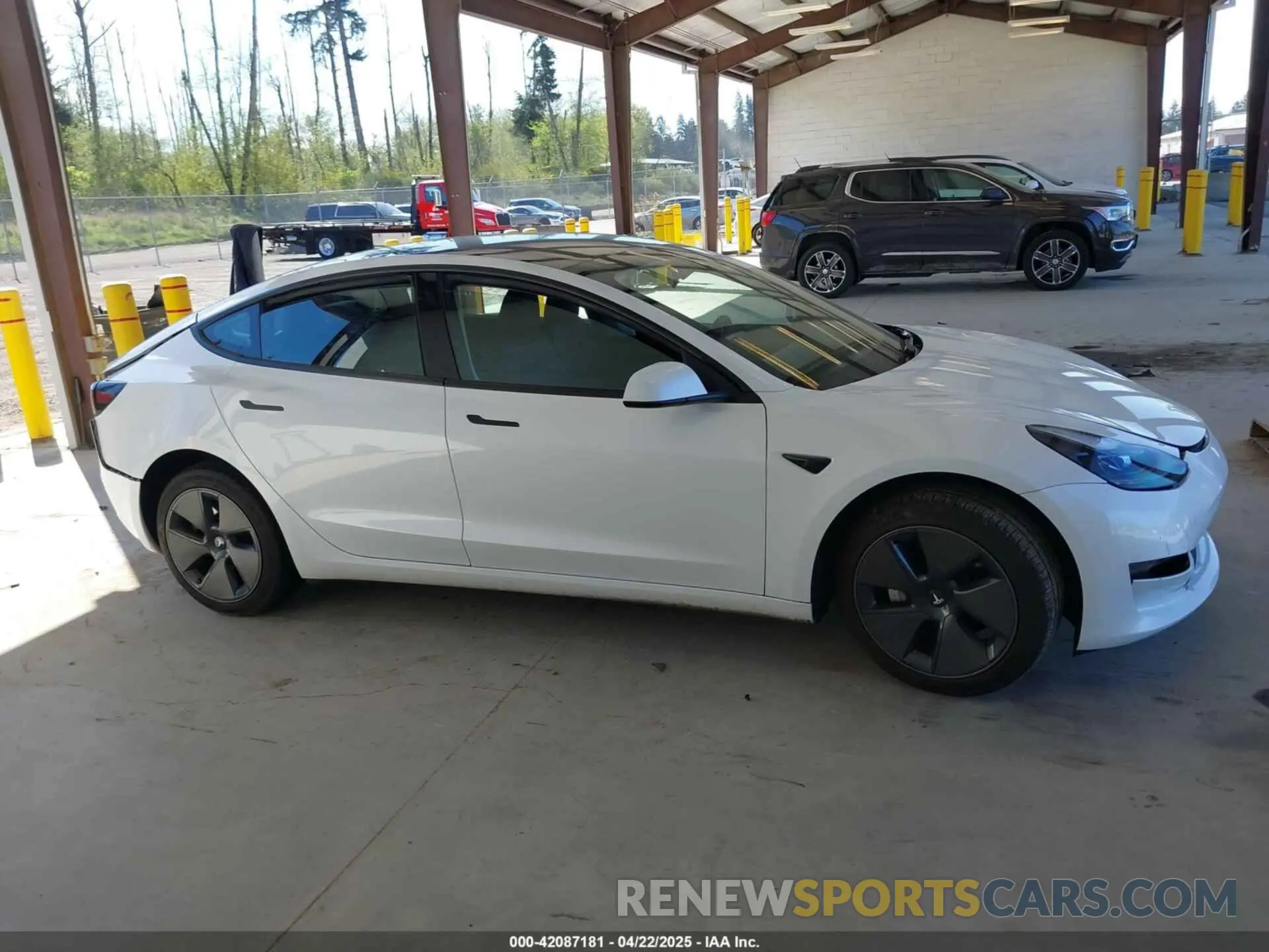 12 Photograph of a damaged car 5YJ3E1EA5PF610431 TESLA MODEL 3 2023