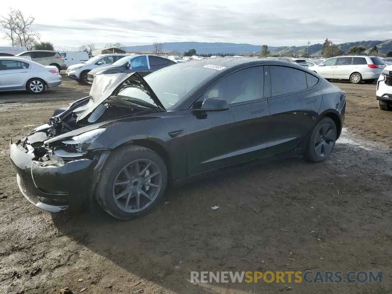 1 Photograph of a damaged car 5YJ3E1EA5PF695044 TESLA MODEL 3 2023