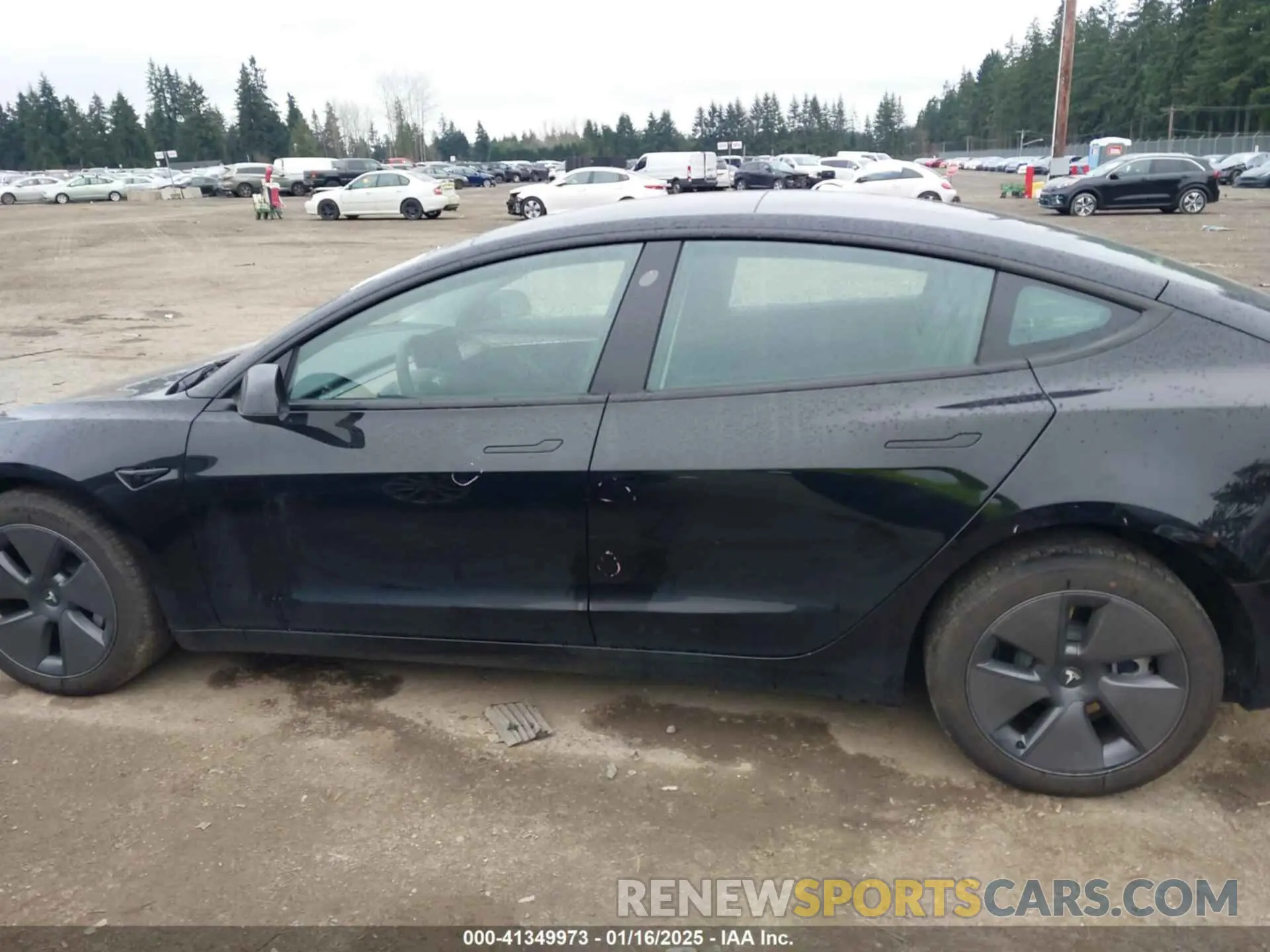 15 Photograph of a damaged car 5YJ3E1EA5PF698235 TESLA MODEL 3 2023
