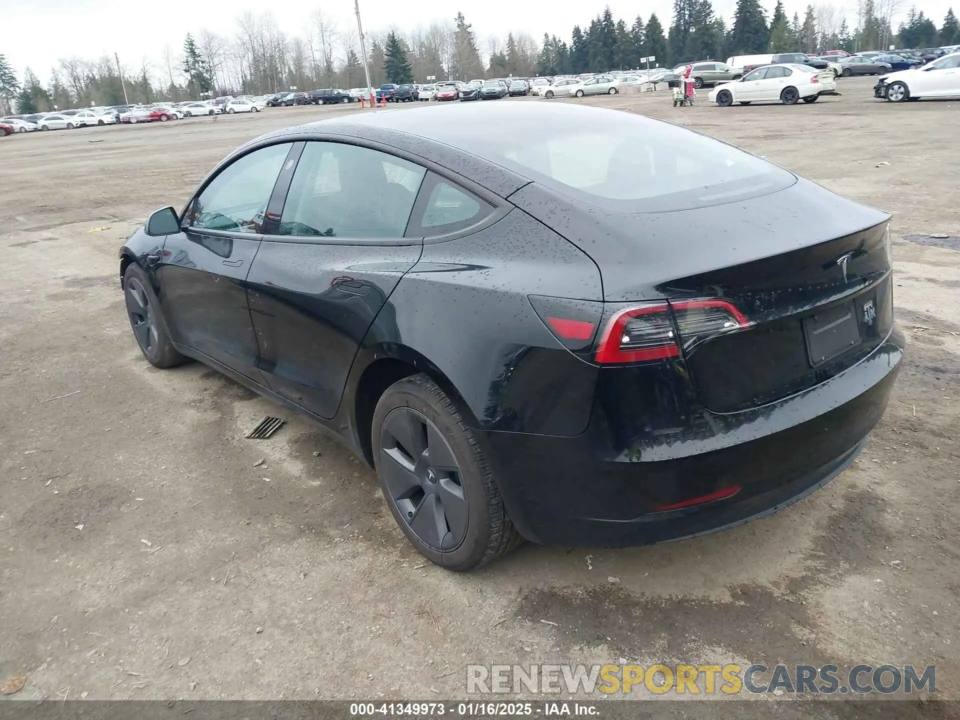 3 Photograph of a damaged car 5YJ3E1EA5PF698235 TESLA MODEL 3 2023