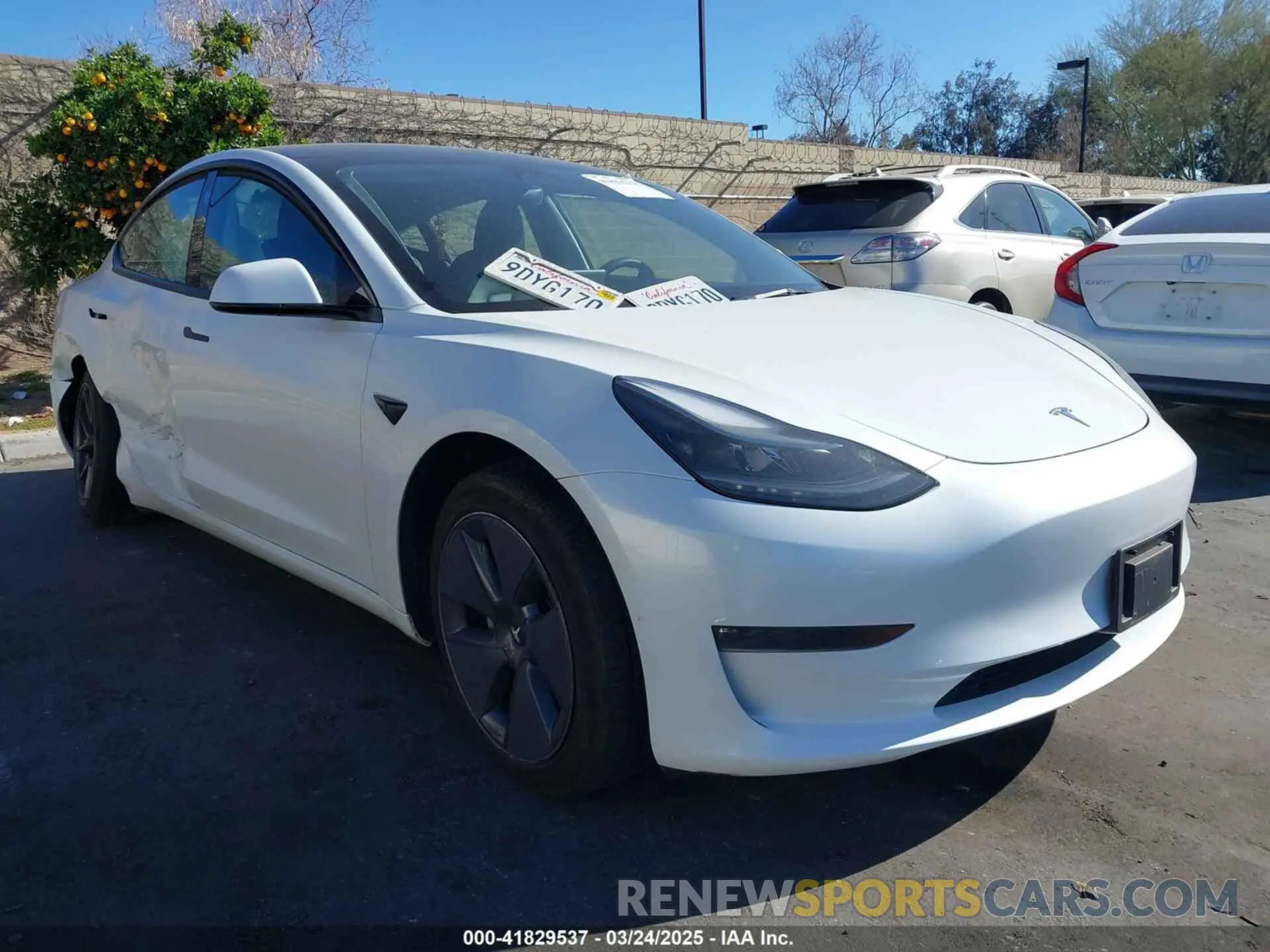 1 Photograph of a damaged car 5YJ3E1EA6PF411940 TESLA MODEL 3 2023