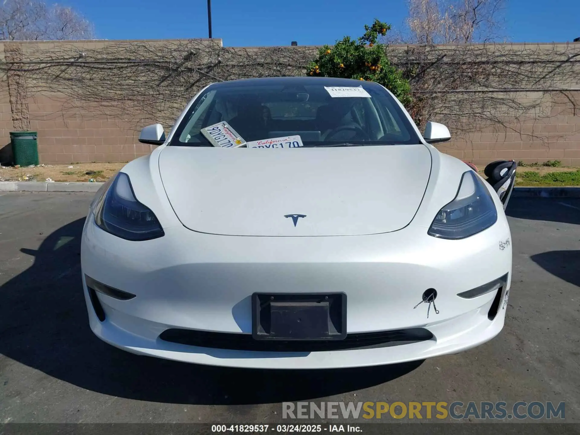 11 Photograph of a damaged car 5YJ3E1EA6PF411940 TESLA MODEL 3 2023