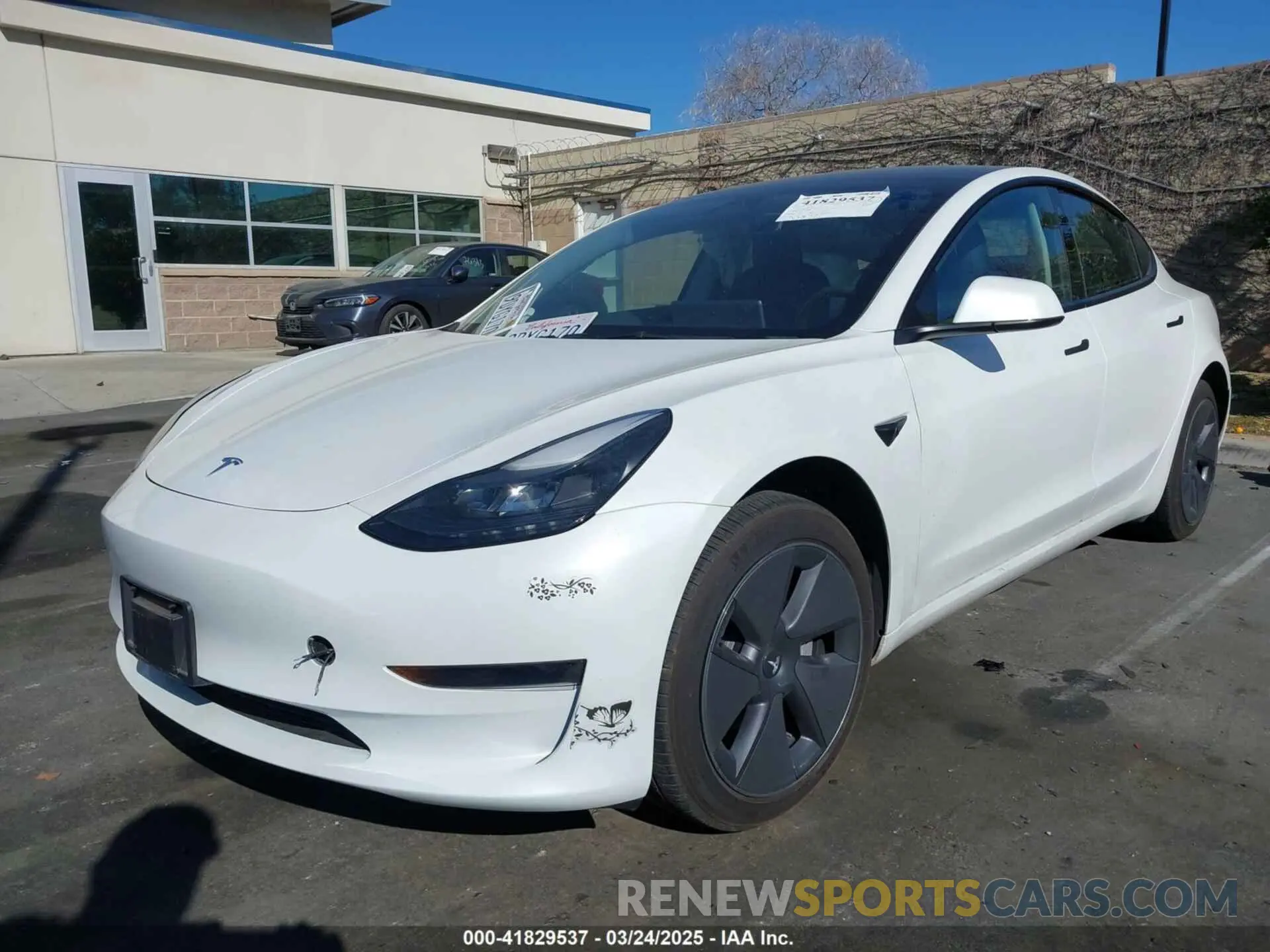 2 Photograph of a damaged car 5YJ3E1EA6PF411940 TESLA MODEL 3 2023