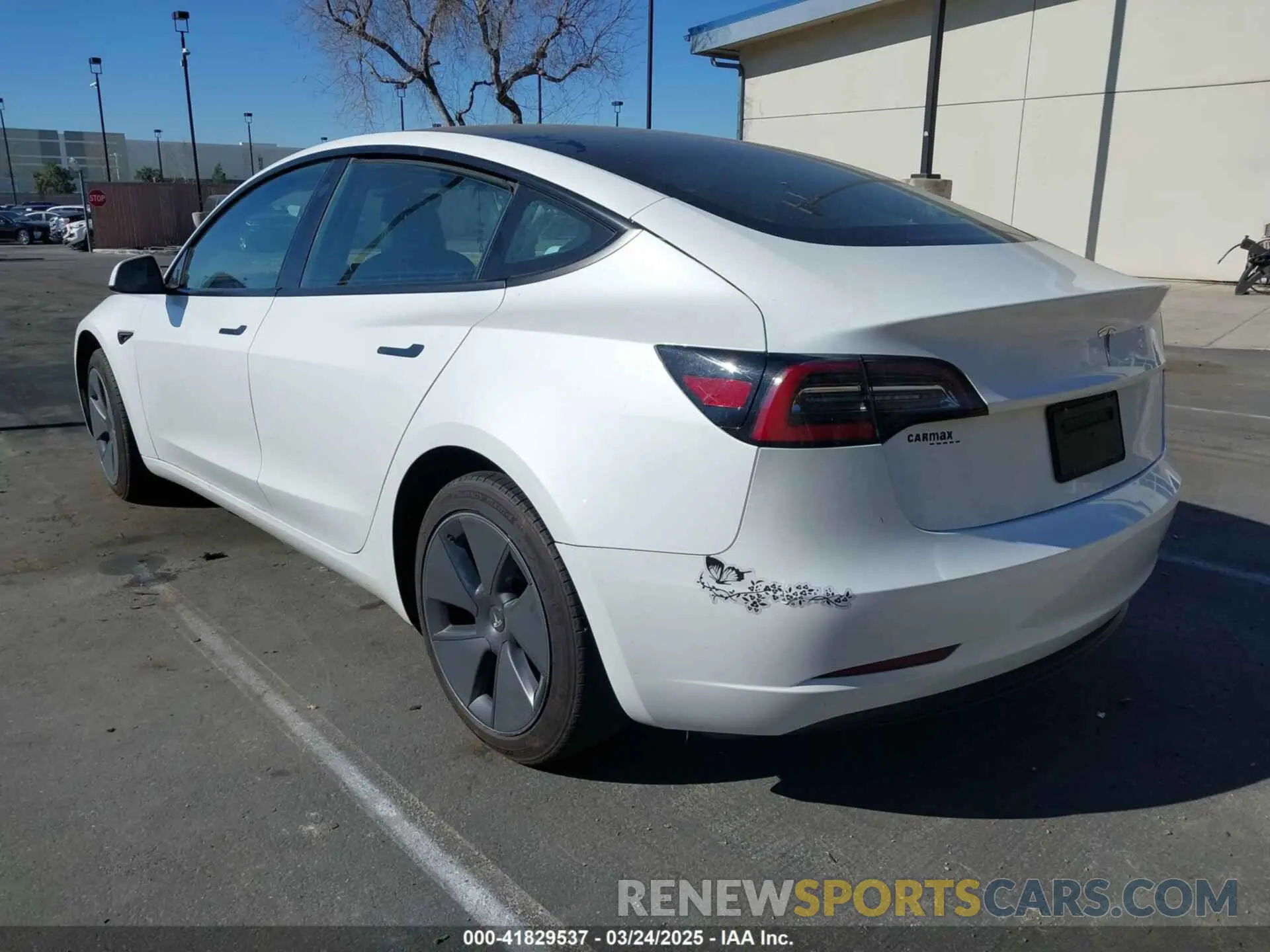 3 Photograph of a damaged car 5YJ3E1EA6PF411940 TESLA MODEL 3 2023