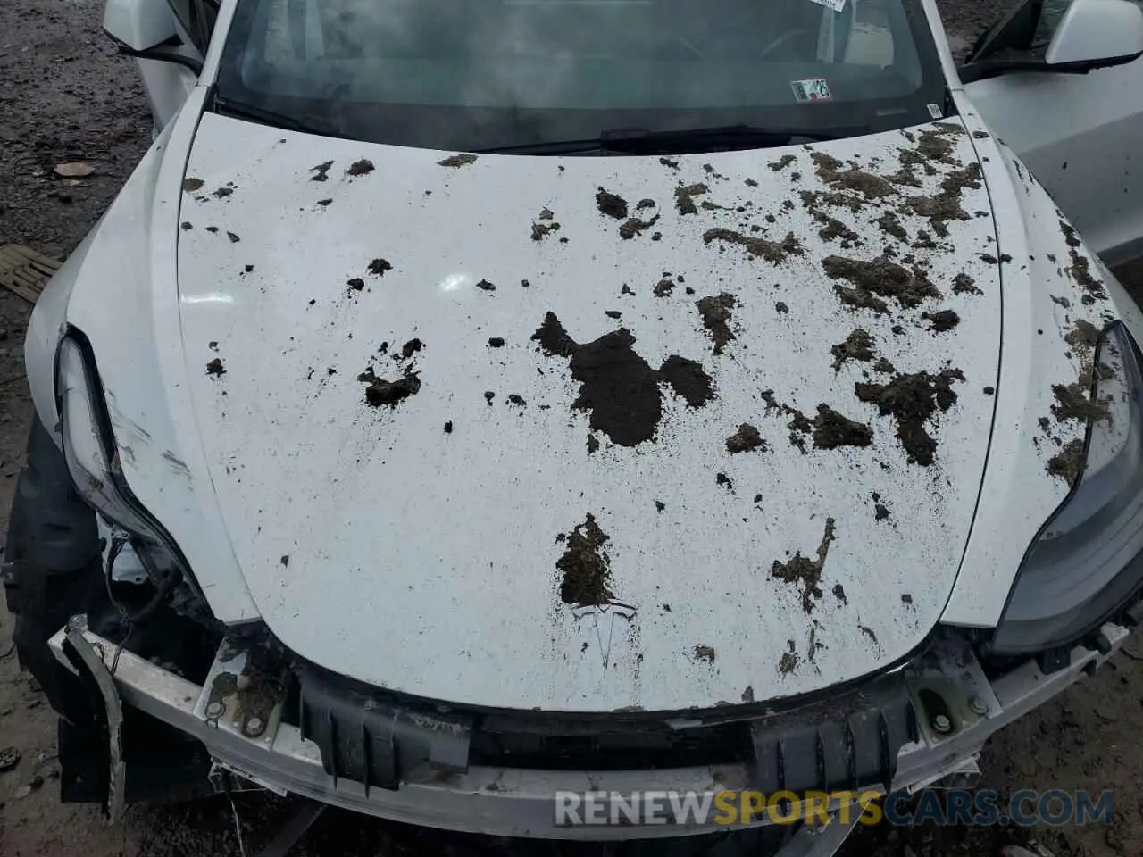 11 Photograph of a damaged car 5YJ3E1EA6PF449703 TESLA MODEL 3 2023