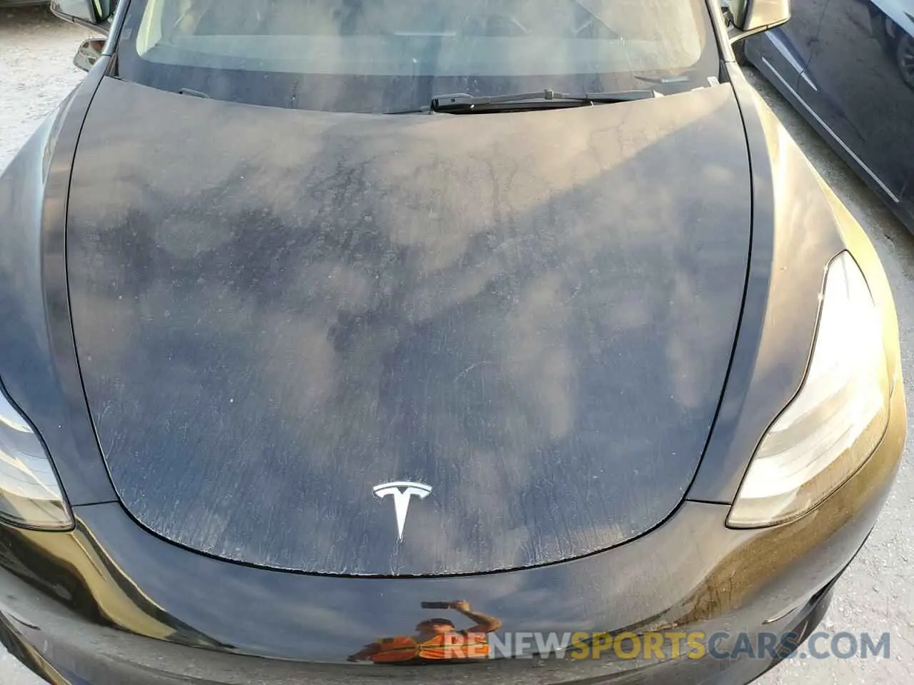 11 Photograph of a damaged car 5YJ3E1EA6PF457123 TESLA MODEL 3 2023