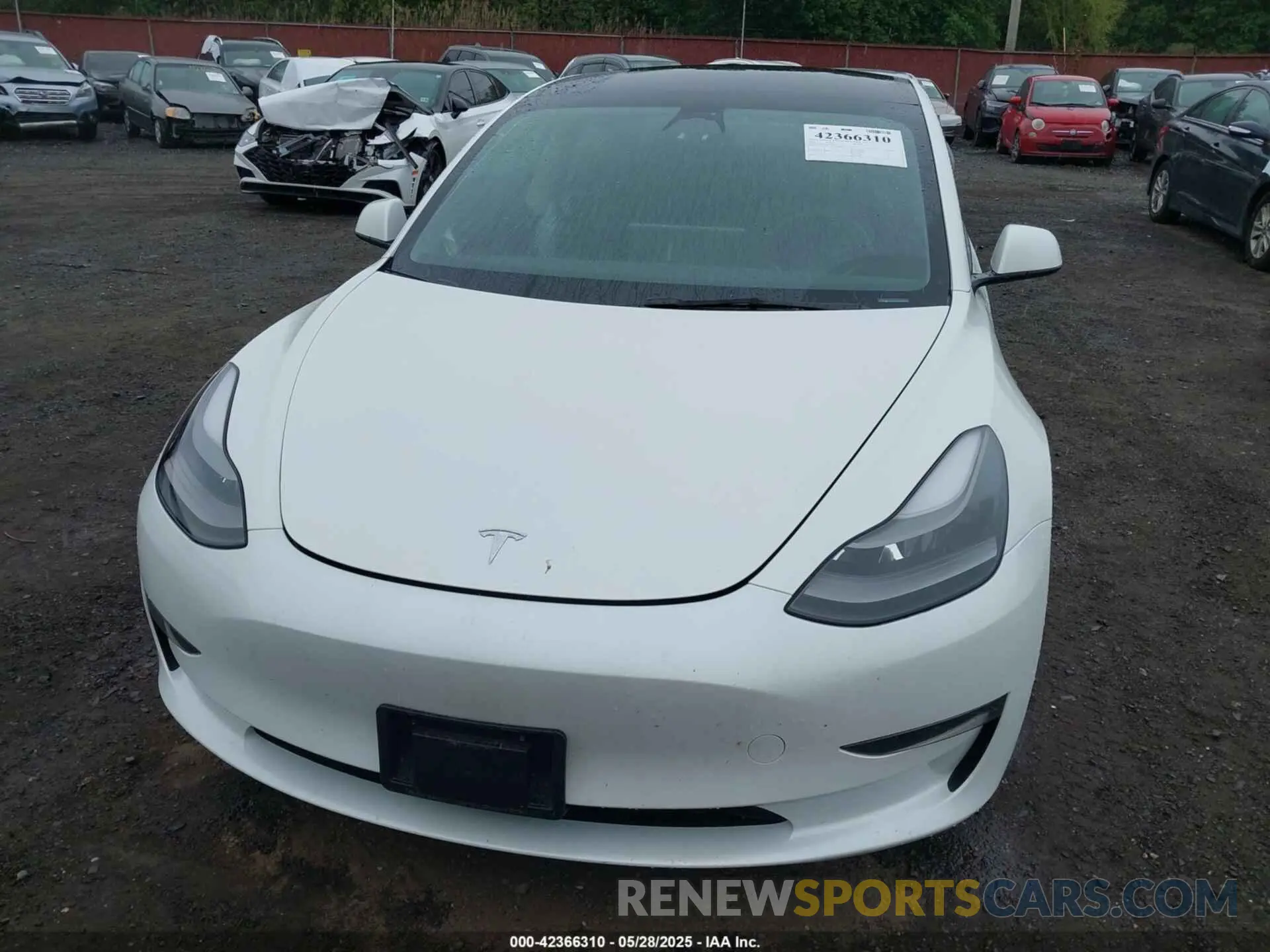 12 Photograph of a damaged car 5YJ3E1EA6PF570876 TESLA MODEL 3 2023