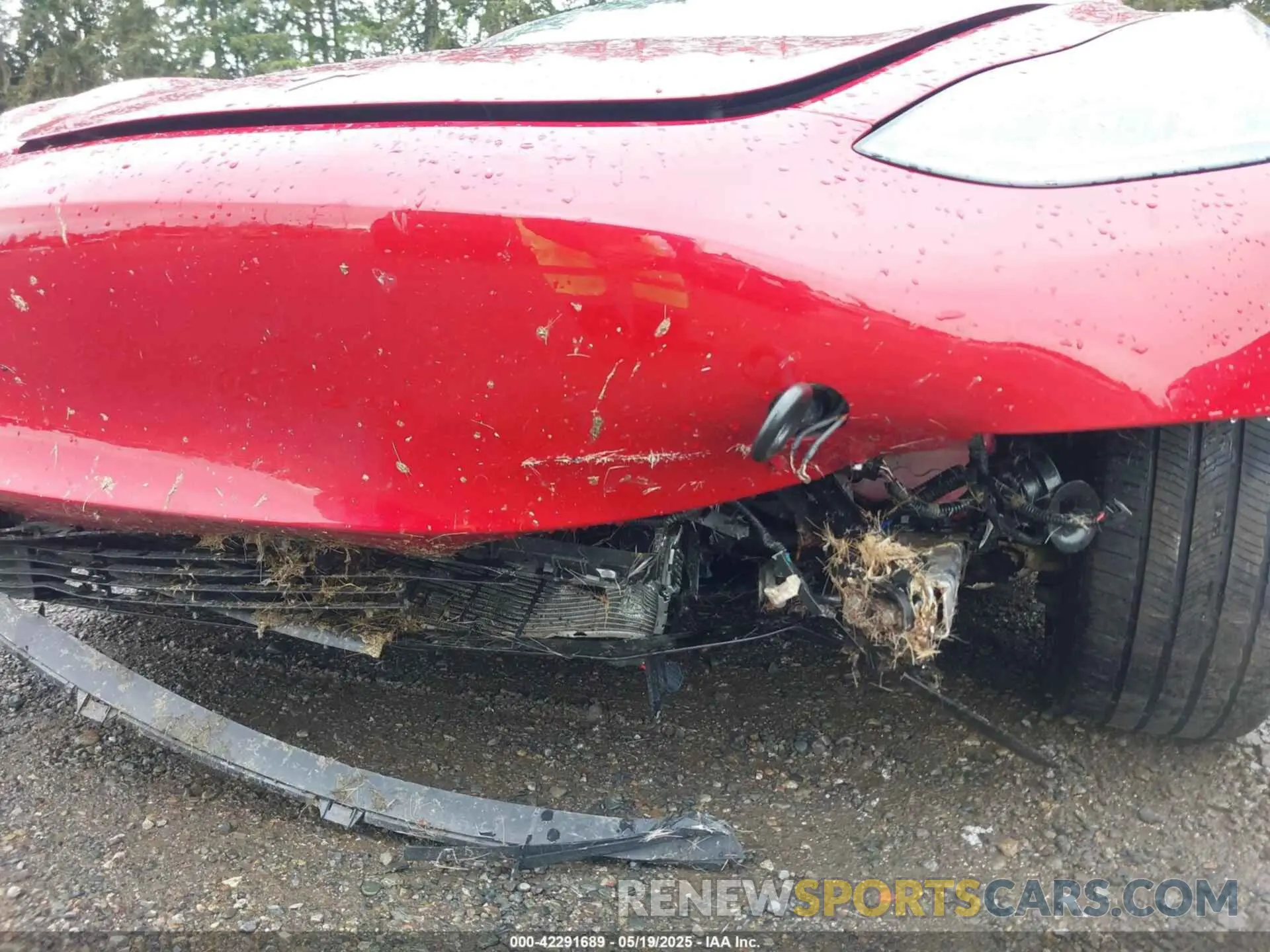 19 Photograph of a damaged car 5YJ3E1EA6PF601480 TESLA MODEL 3 2023