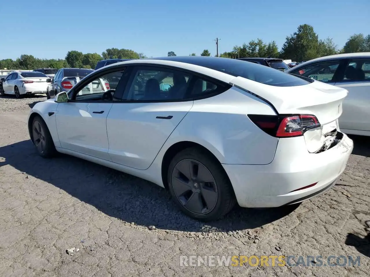 2 Photograph of a damaged car 5YJ3E1EA6PF605674 TESLA MODEL 3 2023