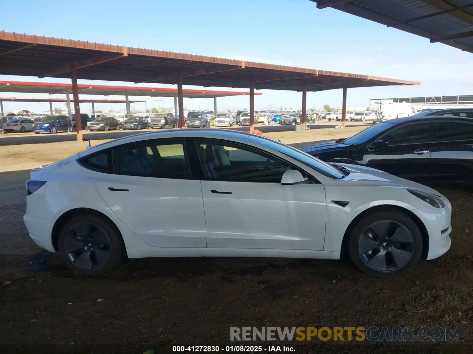 12 Photograph of a damaged car 5YJ3E1EA6PF646256 TESLA MODEL 3 2023