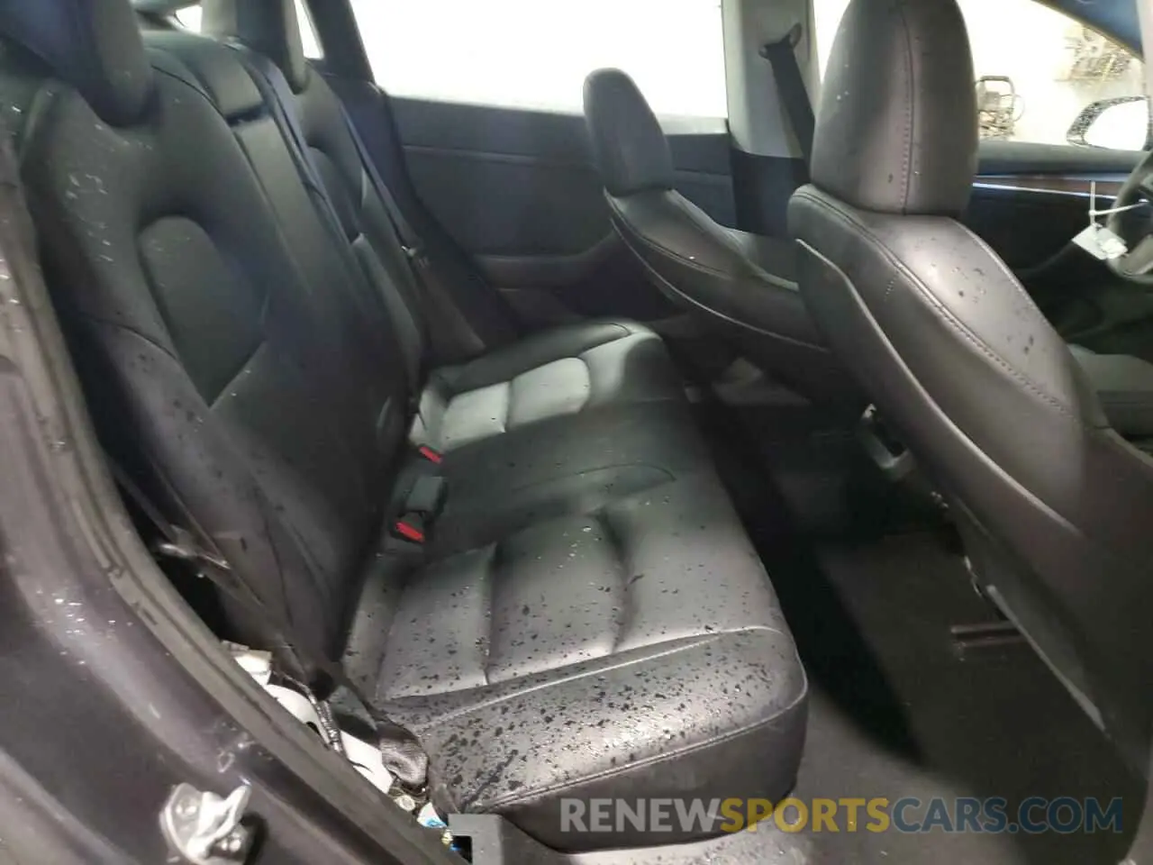 10 Photograph of a damaged car 5YJ3E1EA6PF651117 TESLA MODEL 3 2023