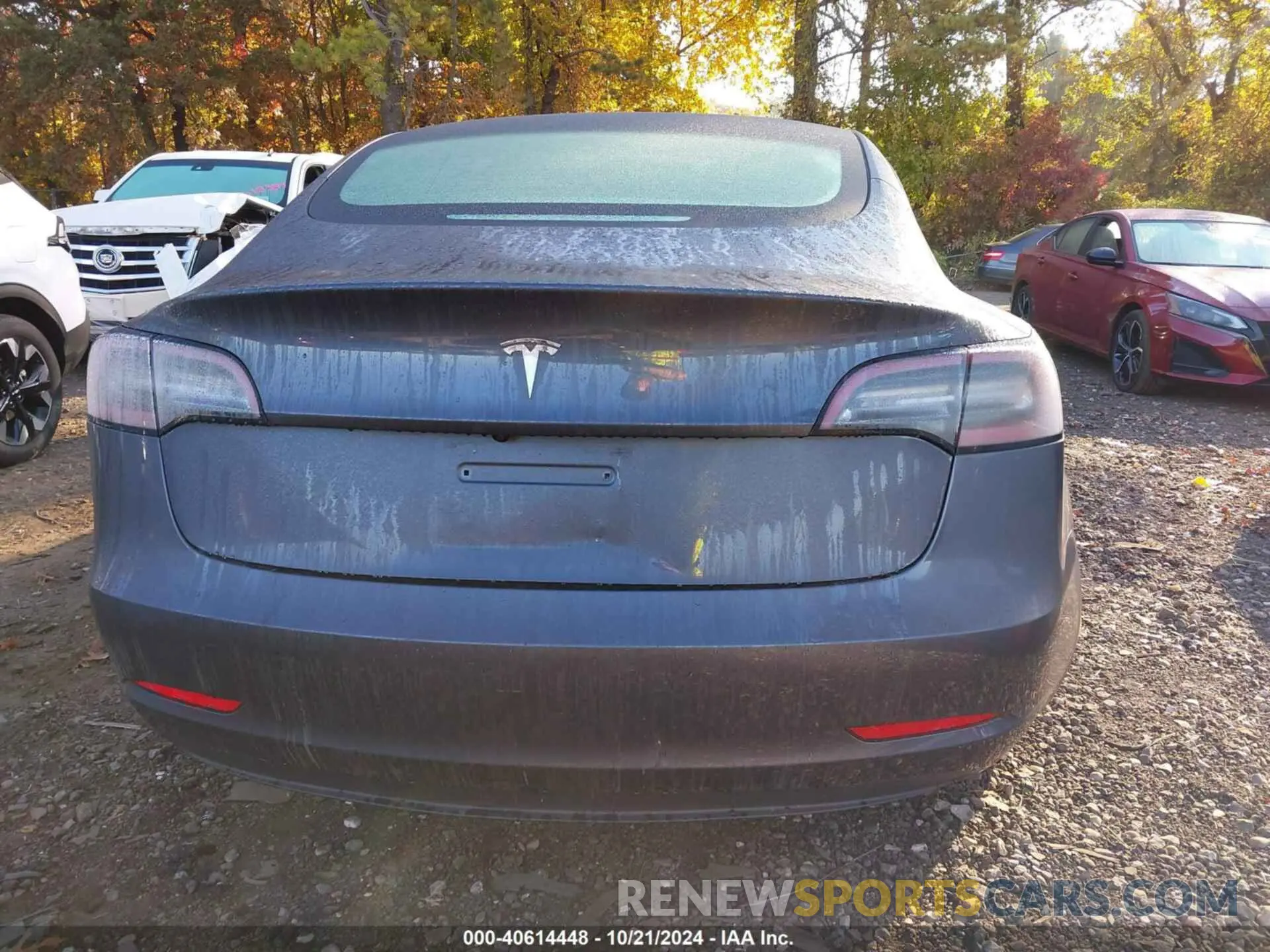 15 Photograph of a damaged car 5YJ3E1EA7PF458006 TESLA MODEL 3 2023