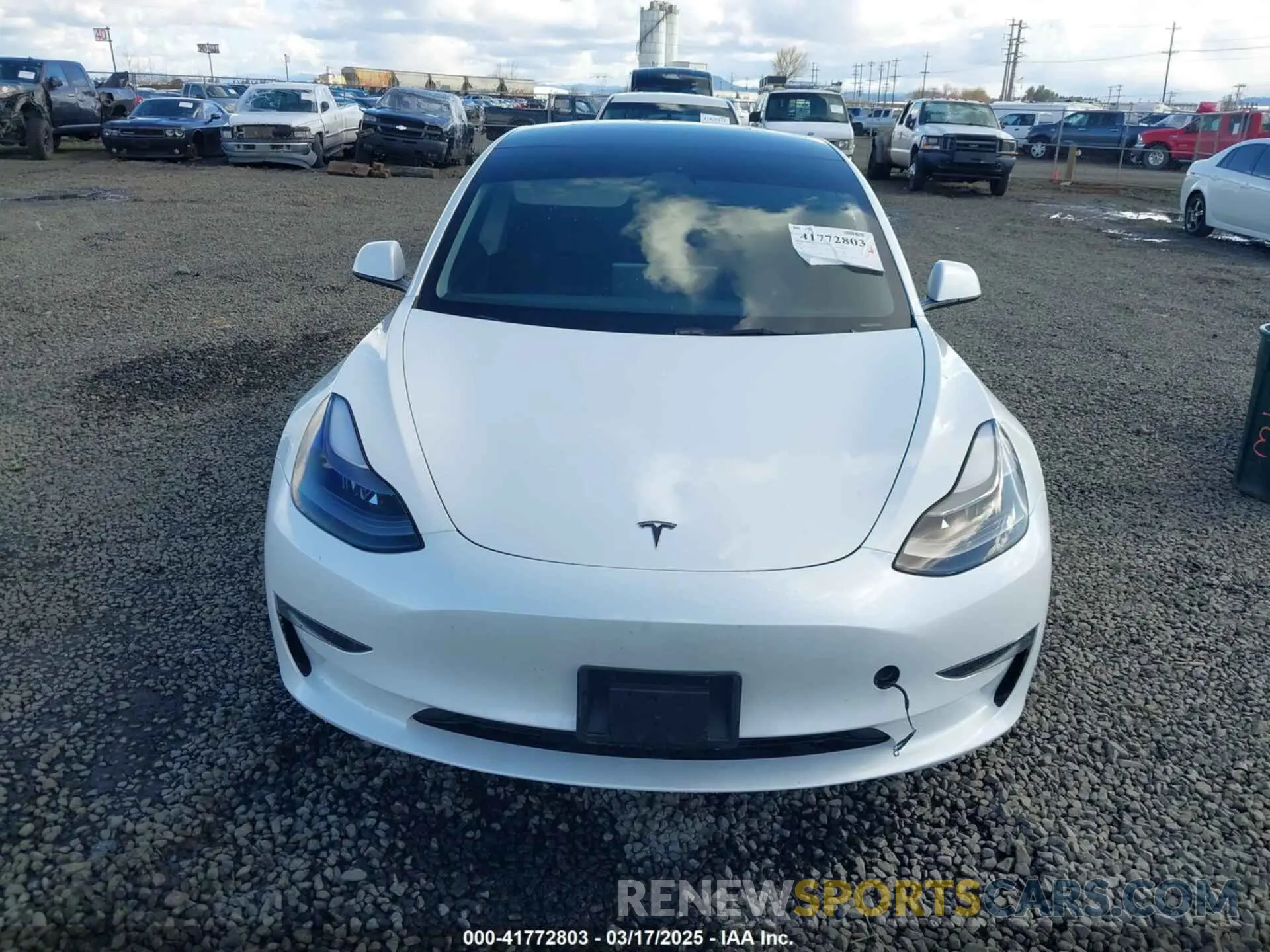 12 Photograph of a damaged car 5YJ3E1EA7PF570871 TESLA MODEL 3 2023