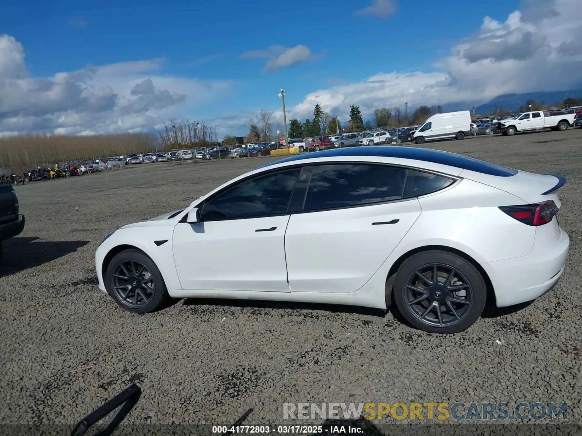 14 Photograph of a damaged car 5YJ3E1EA7PF570871 TESLA MODEL 3 2023
