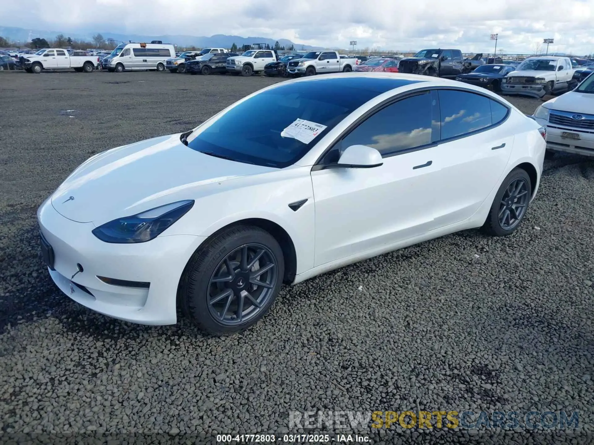 2 Photograph of a damaged car 5YJ3E1EA7PF570871 TESLA MODEL 3 2023