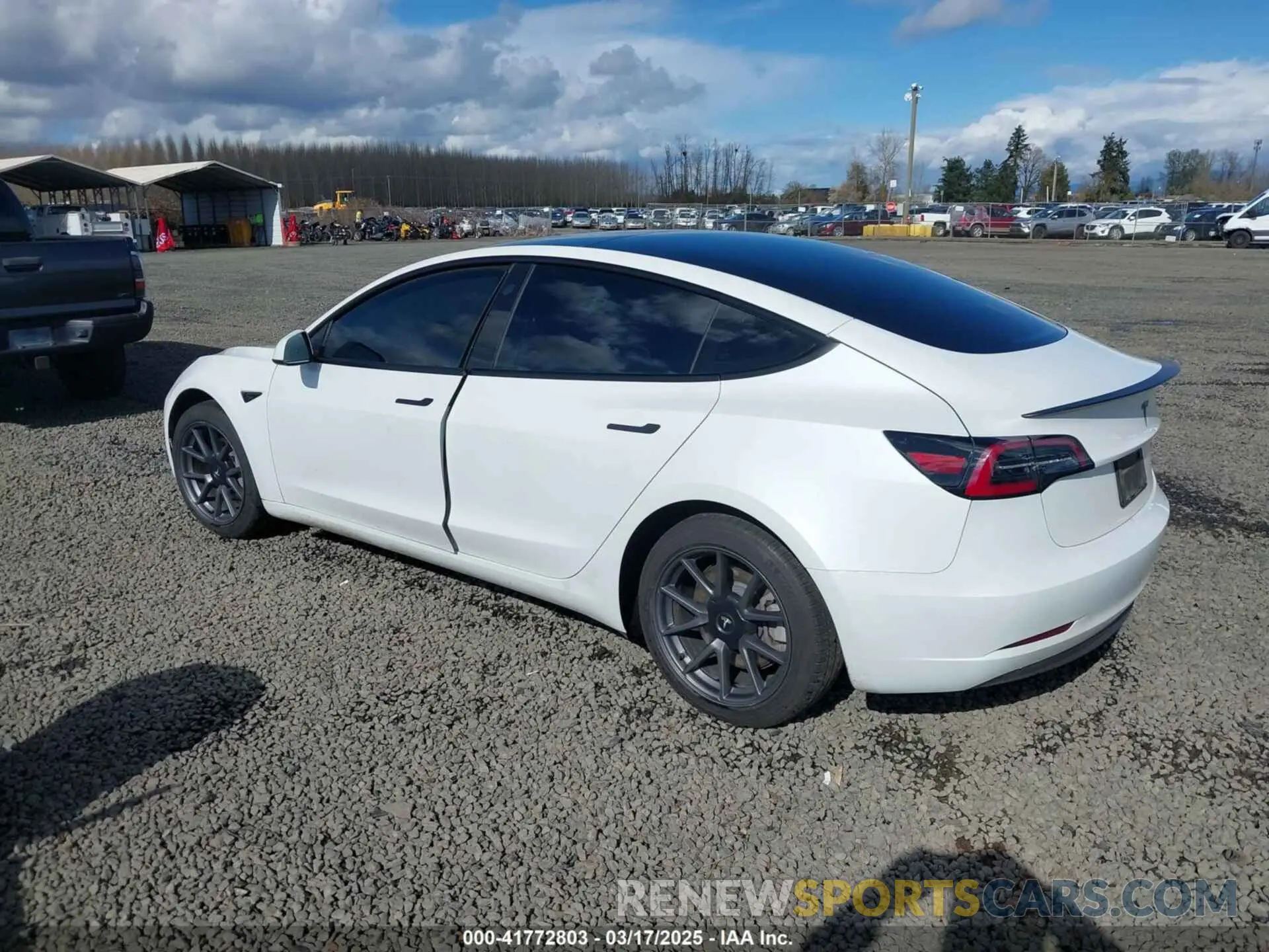 3 Photograph of a damaged car 5YJ3E1EA7PF570871 TESLA MODEL 3 2023