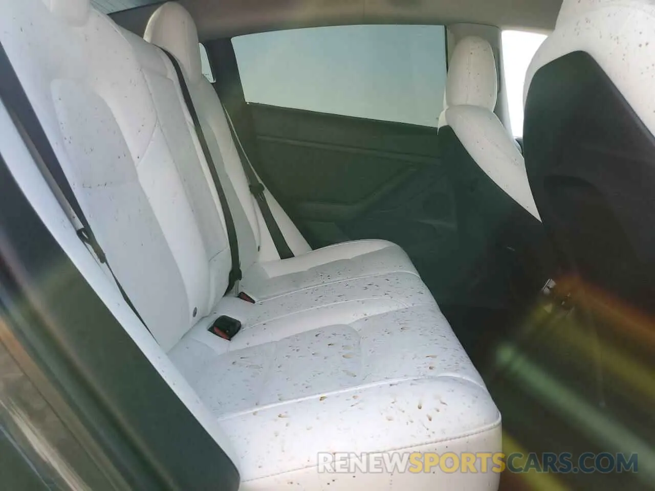 10 Photograph of a damaged car 5YJ3E1EA7PF692646 TESLA MODEL 3 2023