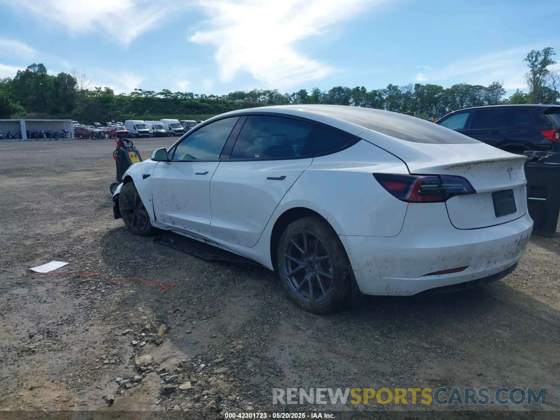 3 Photograph of a damaged car 5YJ3E1EA8PF575061 TESLA MODEL 3 2023