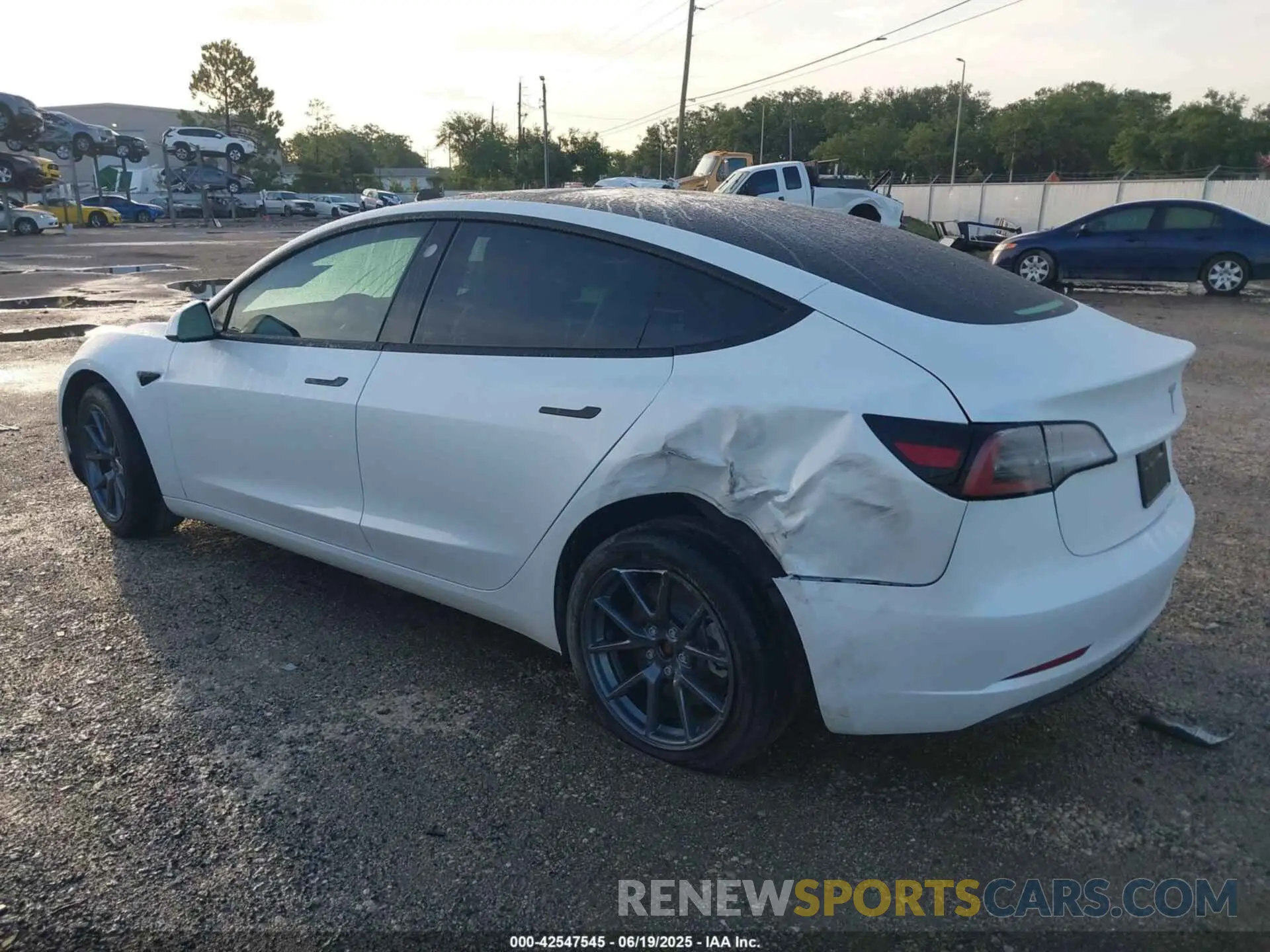 3 Photograph of a damaged car 5YJ3E1EA9PF479343 TESLA MODEL 3 2023