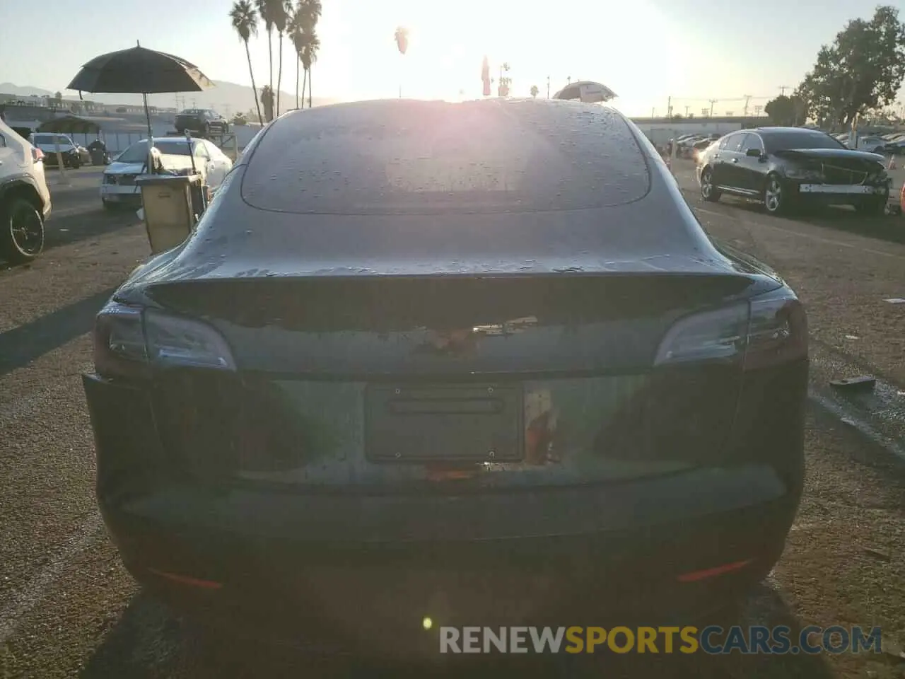 6 Photograph of a damaged car 5YJ3E1EA9PF567504 TESLA MODEL 3 2023