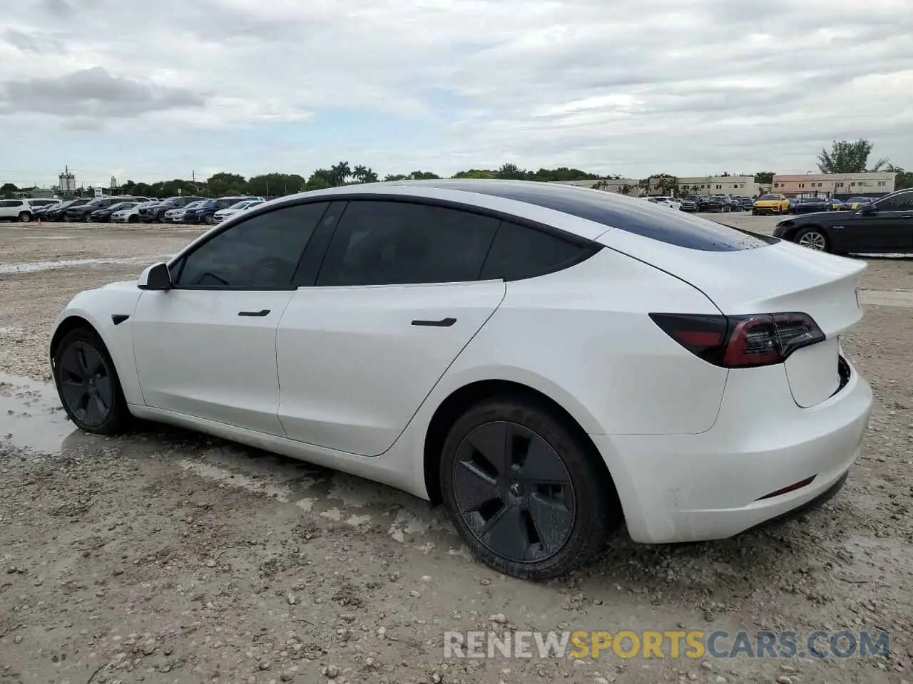 2 Photograph of a damaged car 5YJ3E1EAXPF394303 TESLA MODEL 3 2023