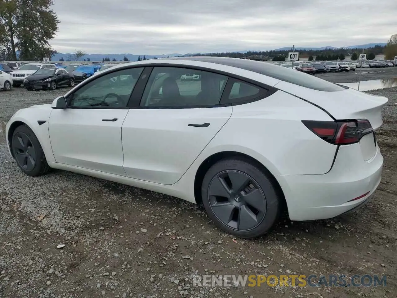 2 Photograph of a damaged car 5YJ3E1EAXPF568015 TESLA MODEL 3 2023