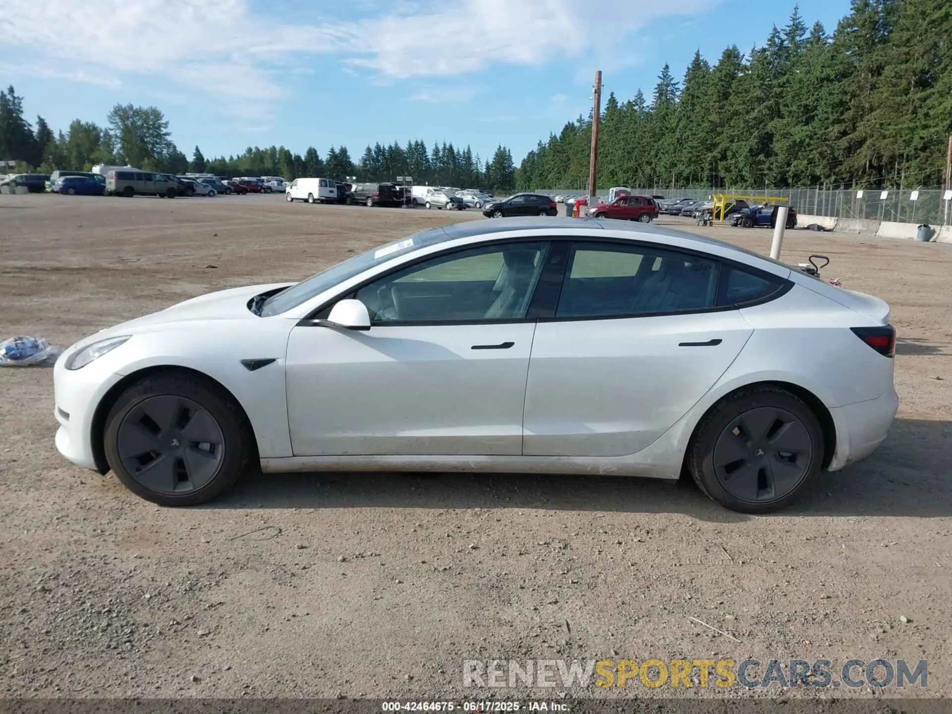 14 Photograph of a damaged car 5YJ3E1EAXPF609792 TESLA MODEL 3 2023