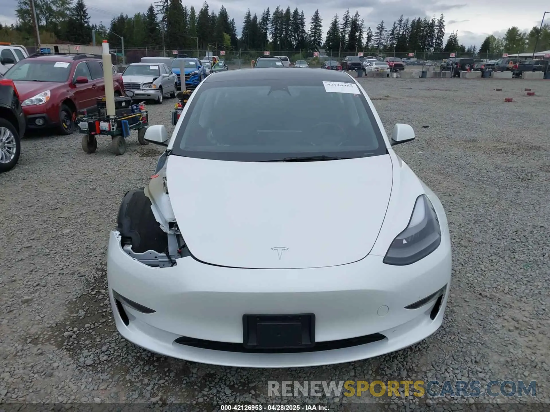13 Photograph of a damaged car 5YJ3E1EAXPF611882 TESLA MODEL 3 2023
