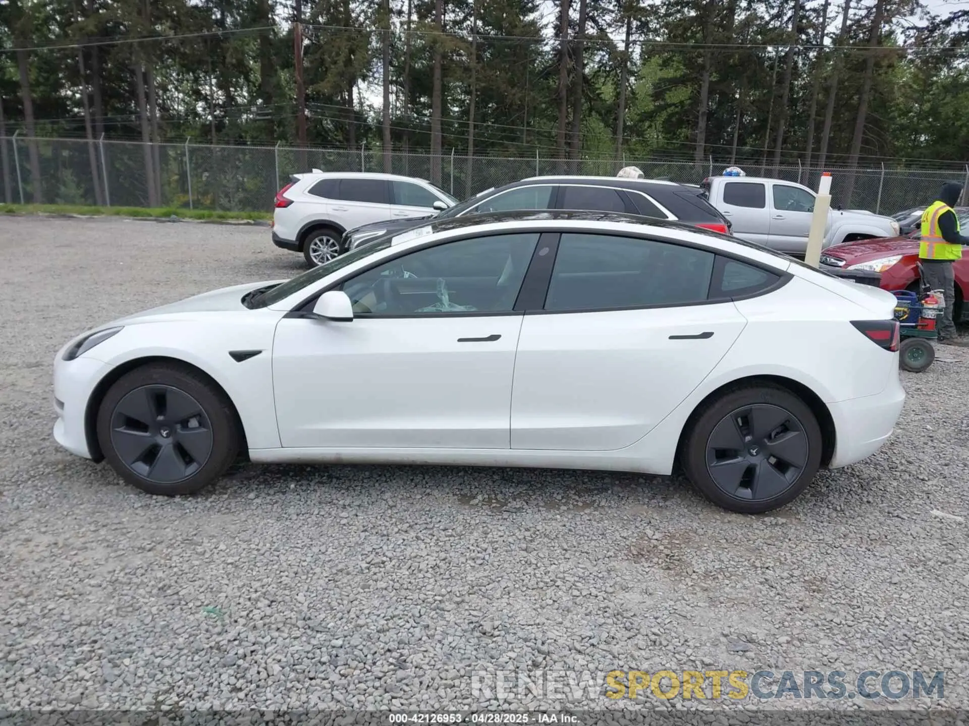 15 Photograph of a damaged car 5YJ3E1EAXPF611882 TESLA MODEL 3 2023