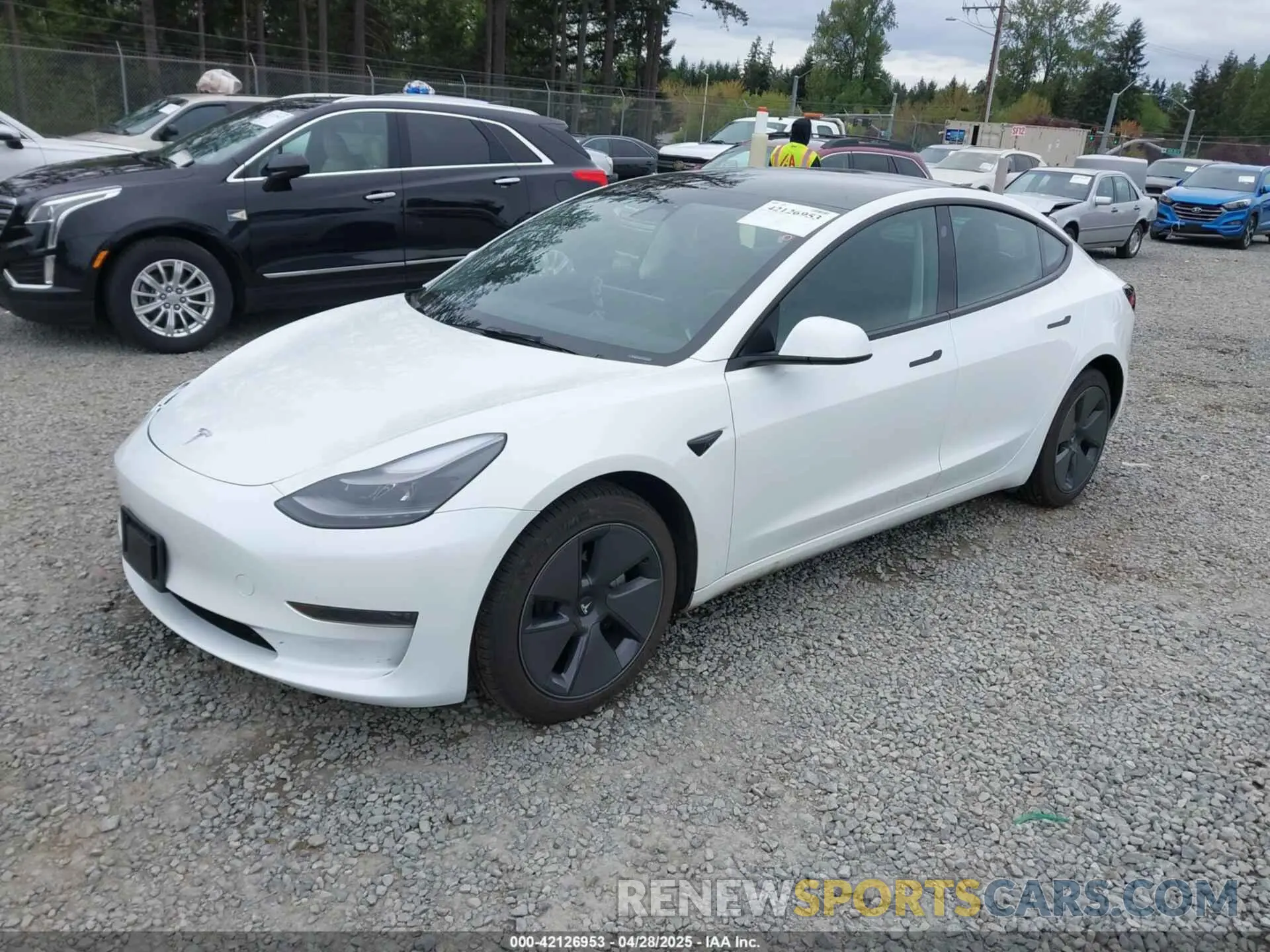 2 Photograph of a damaged car 5YJ3E1EAXPF611882 TESLA MODEL 3 2023