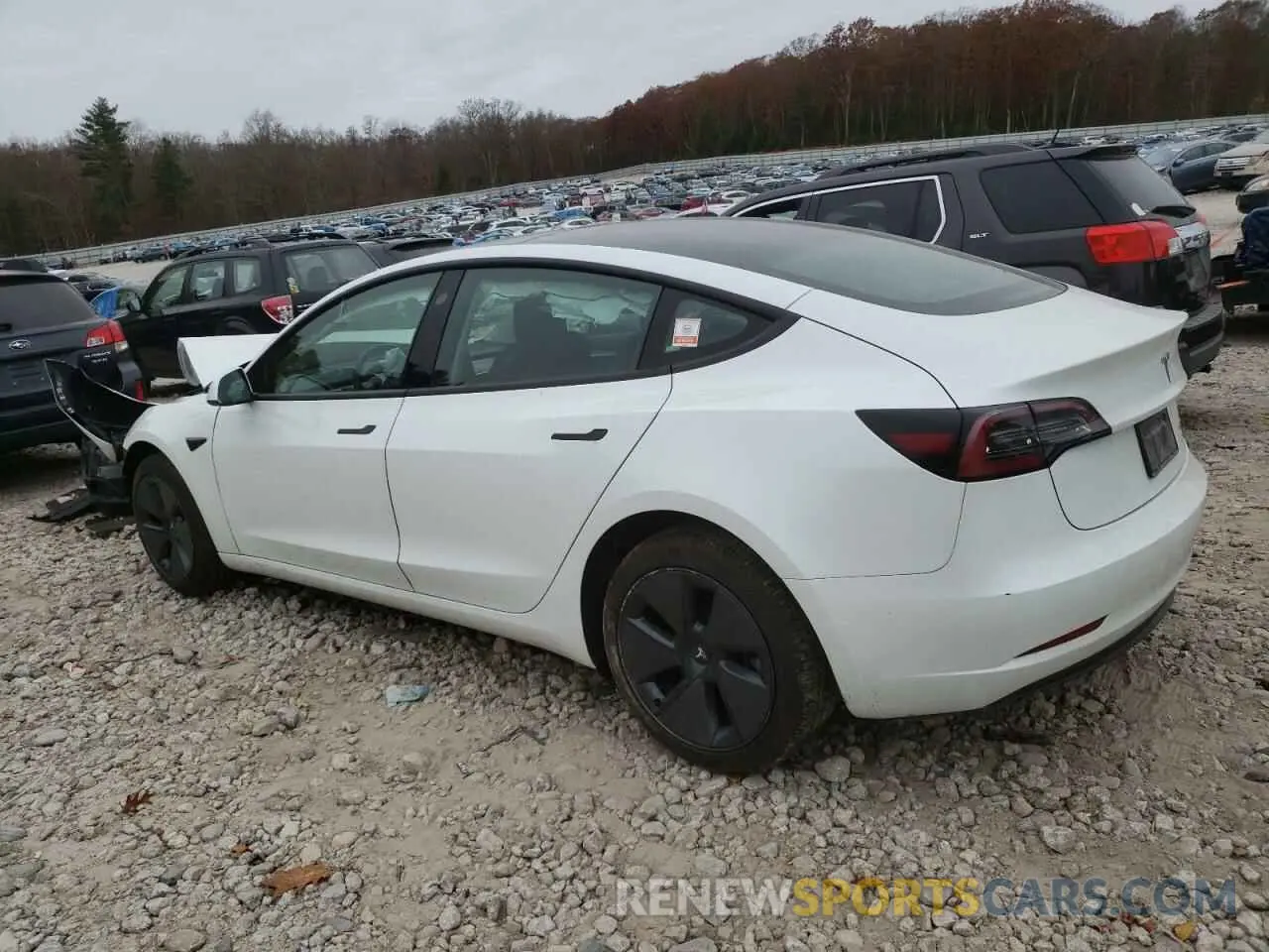2 Photograph of a damaged car 5YJ3E1EB8PF390159 TESLA MODEL 3 2023