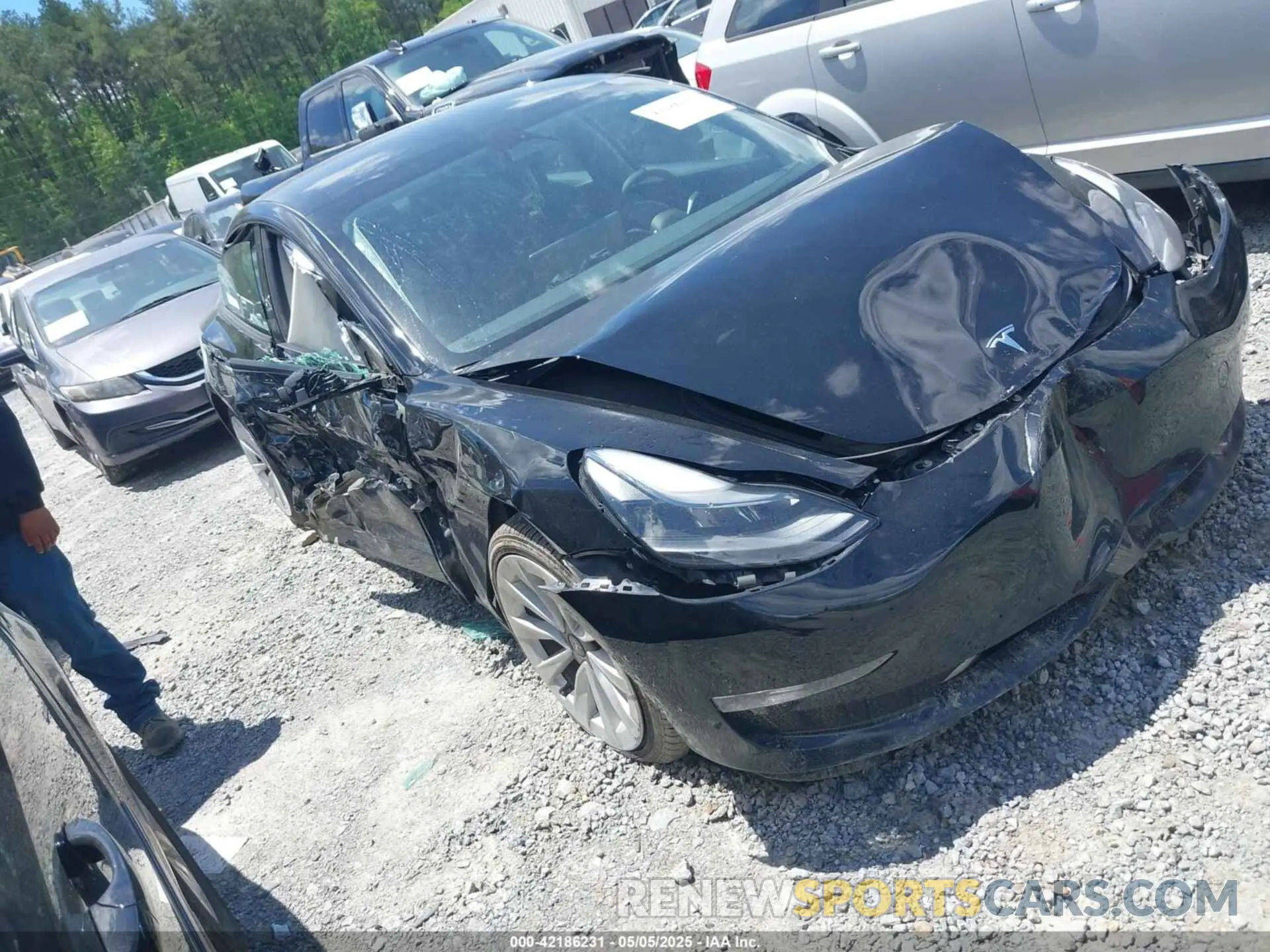 1 Photograph of a damaged car 5YJ3E1EBXPF388011 TESLA MODEL 3 2023