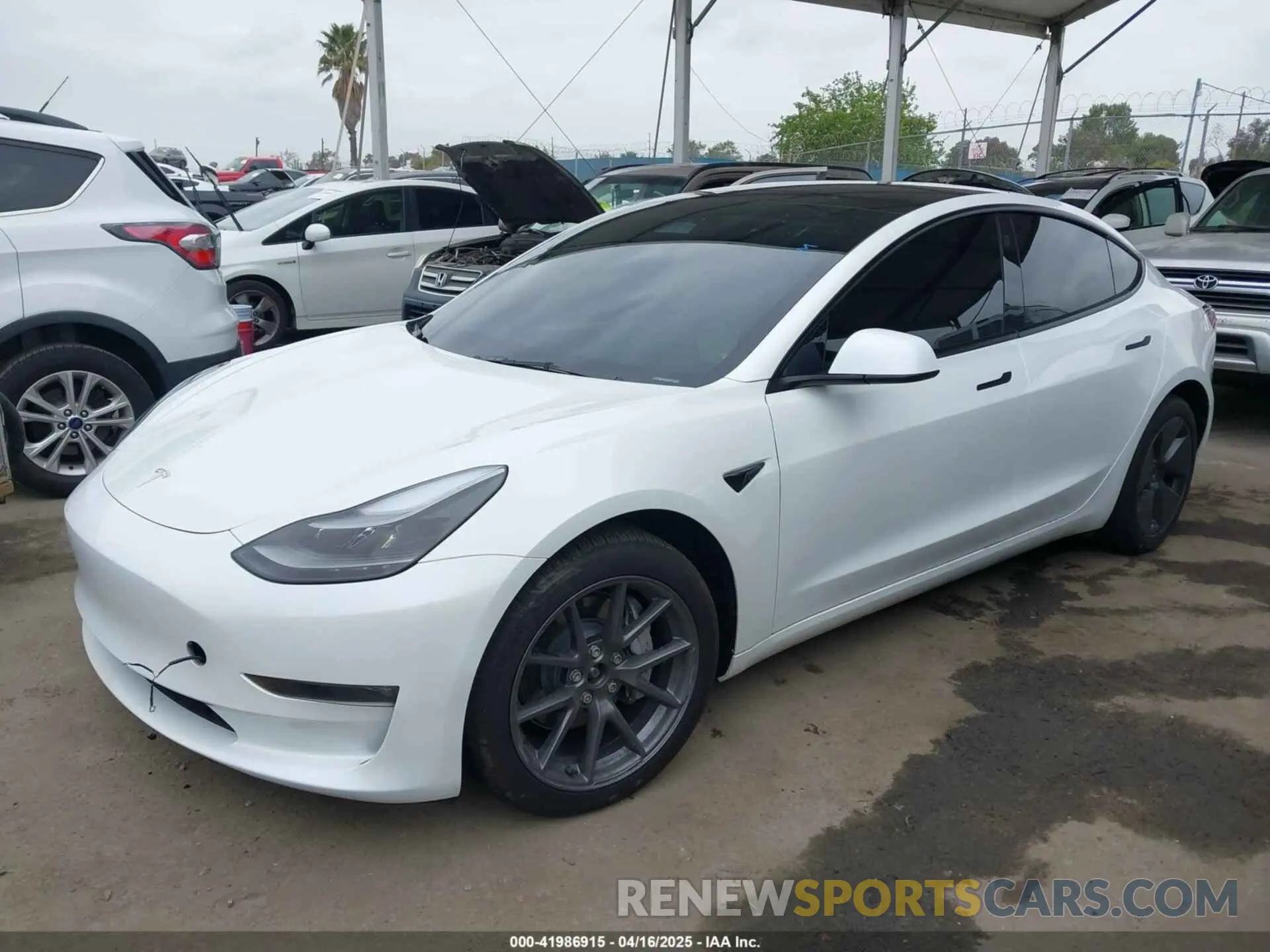 2 Photograph of a damaged car 5YJ3E1EBXPF712235 TESLA MODEL 3 2023