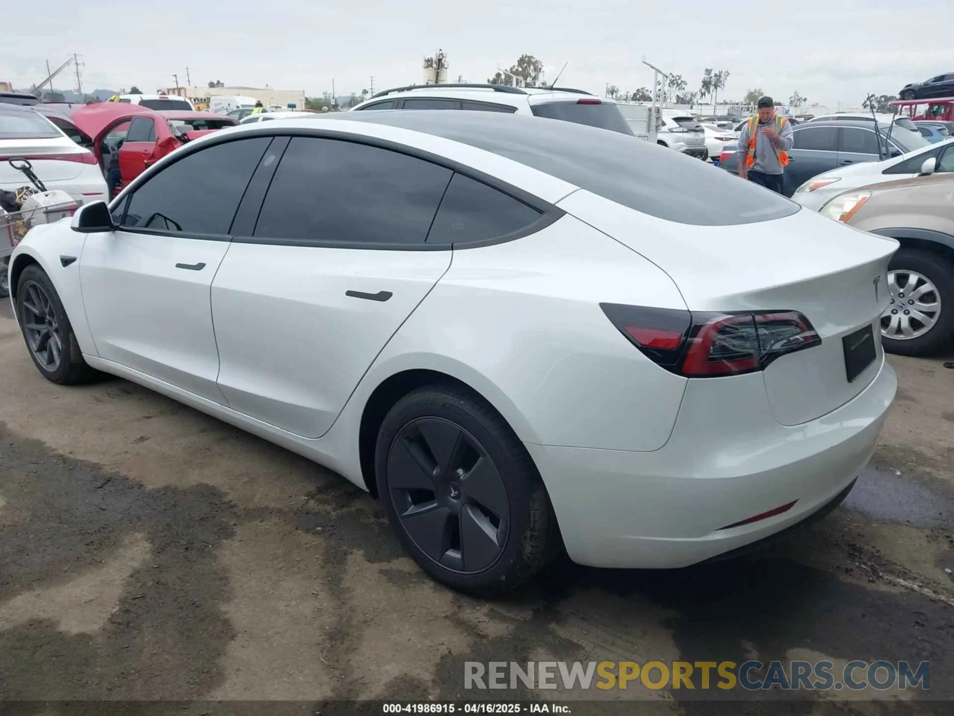 3 Photograph of a damaged car 5YJ3E1EBXPF712235 TESLA MODEL 3 2023